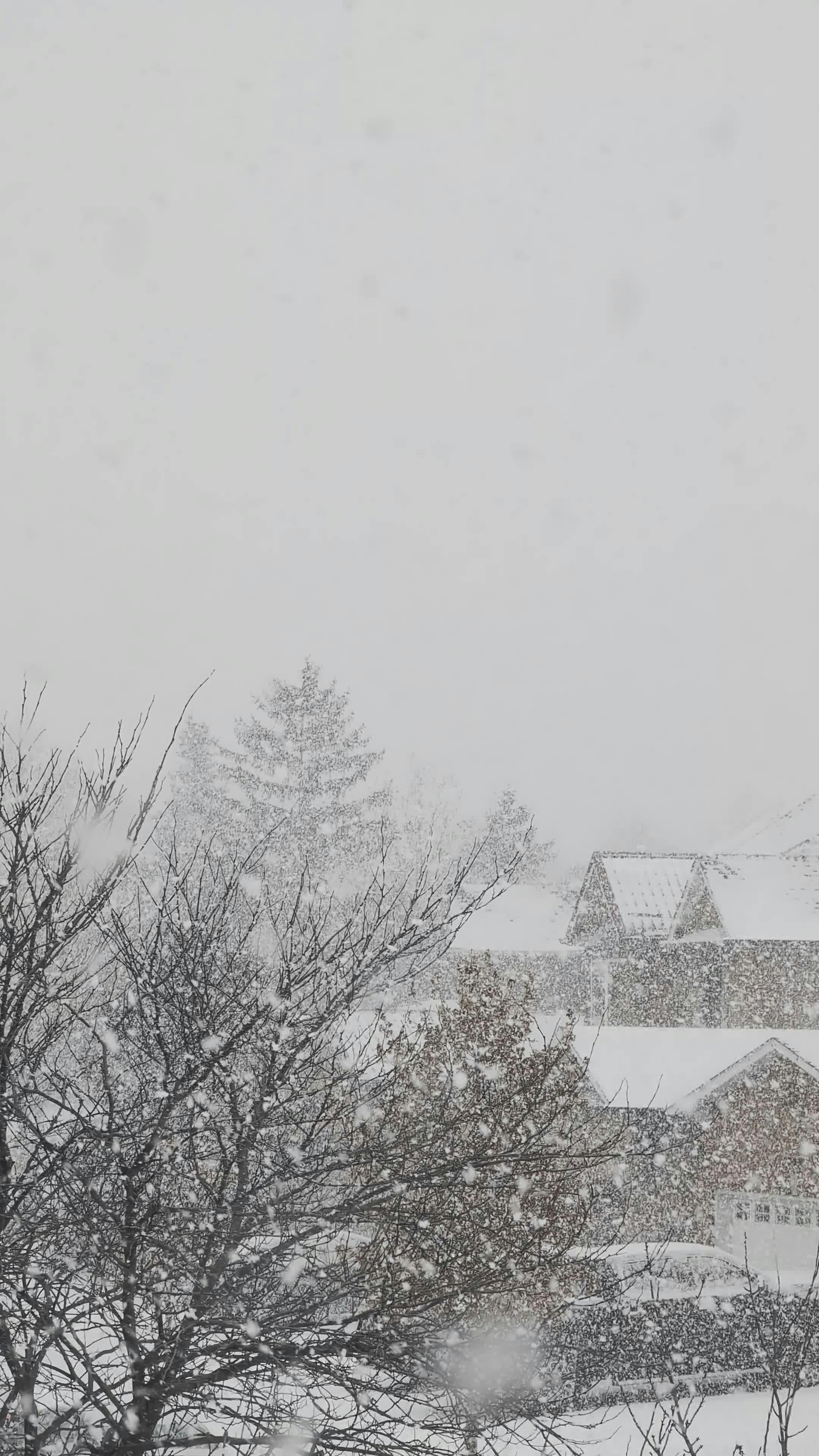 winter snowfall over scenic townscape 35450534
