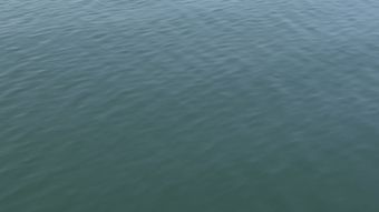 水温视频素材