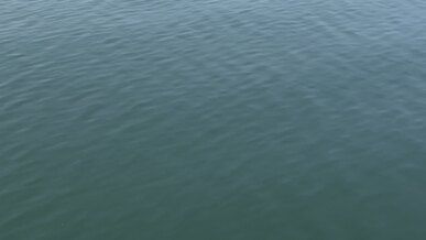 serene view of rippling water surface