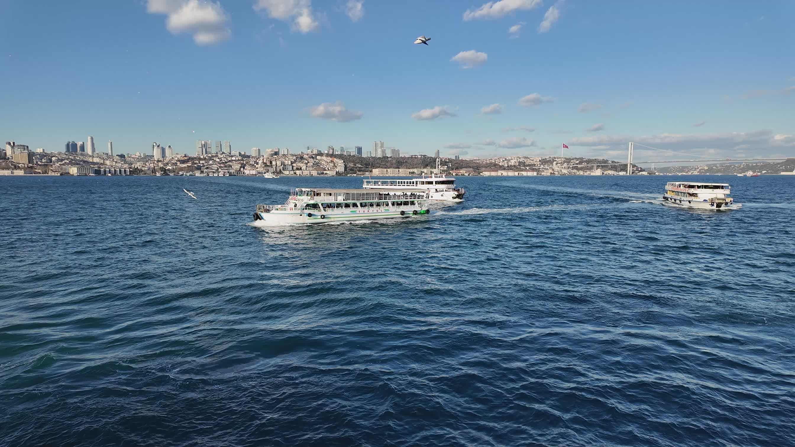 Ferries Crossing the Bosphorus in Istanbul Free Stock Video Footage ...