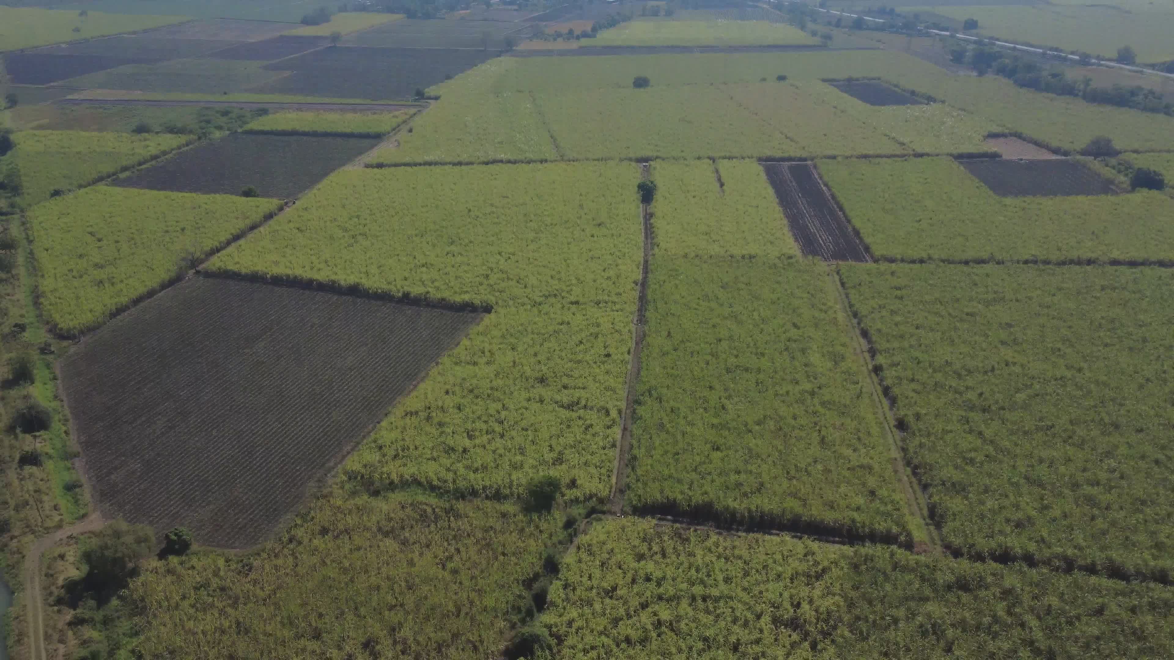 Aerial View of Green Agricultural Farmland Free Stock Video Footage ...