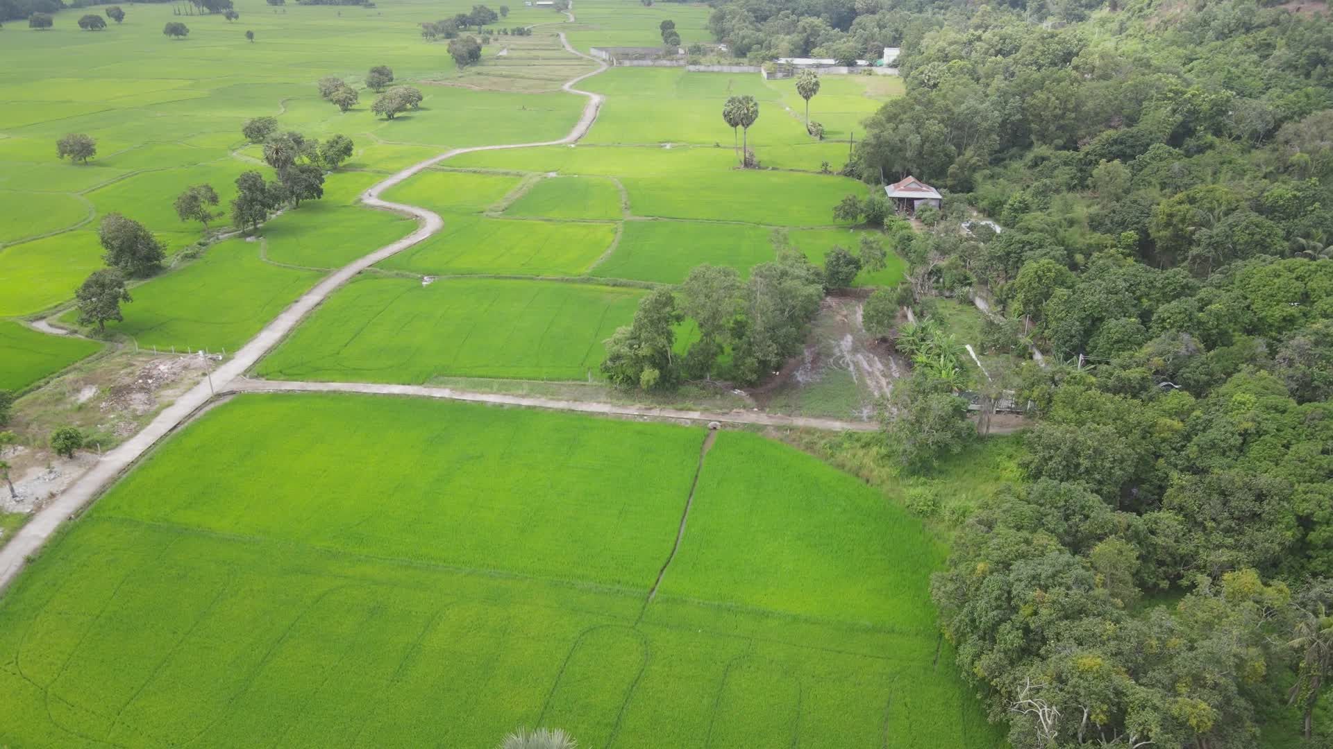 Serene Aerial View of Lush Green Fields Free Stock Video Footage ...