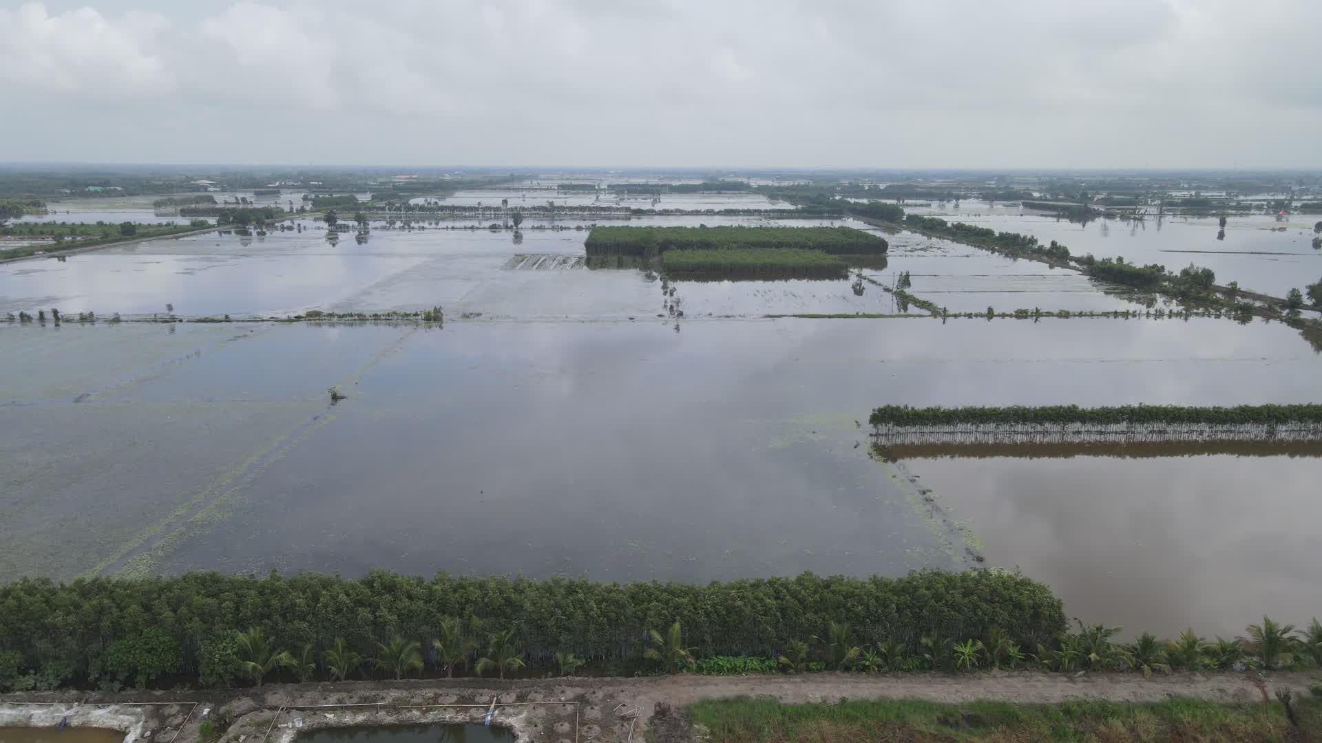 雨后稻田被淹的鸟瞰图 · 免费素材视频