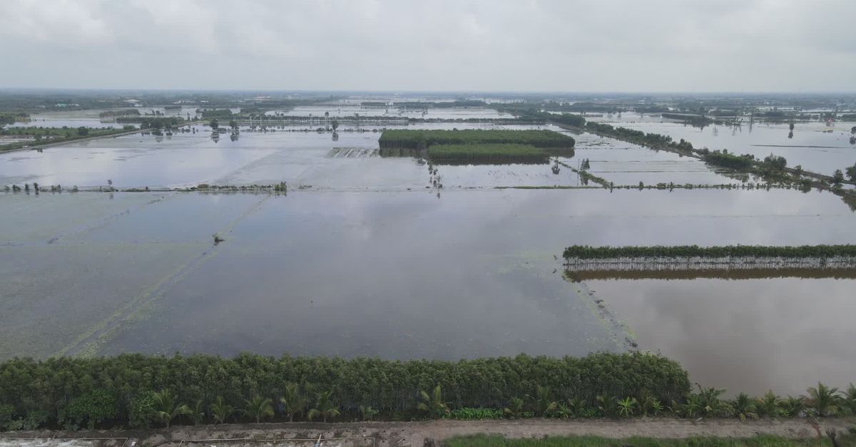 雨后稻田被淹的鸟瞰图 · 免费素材视频
