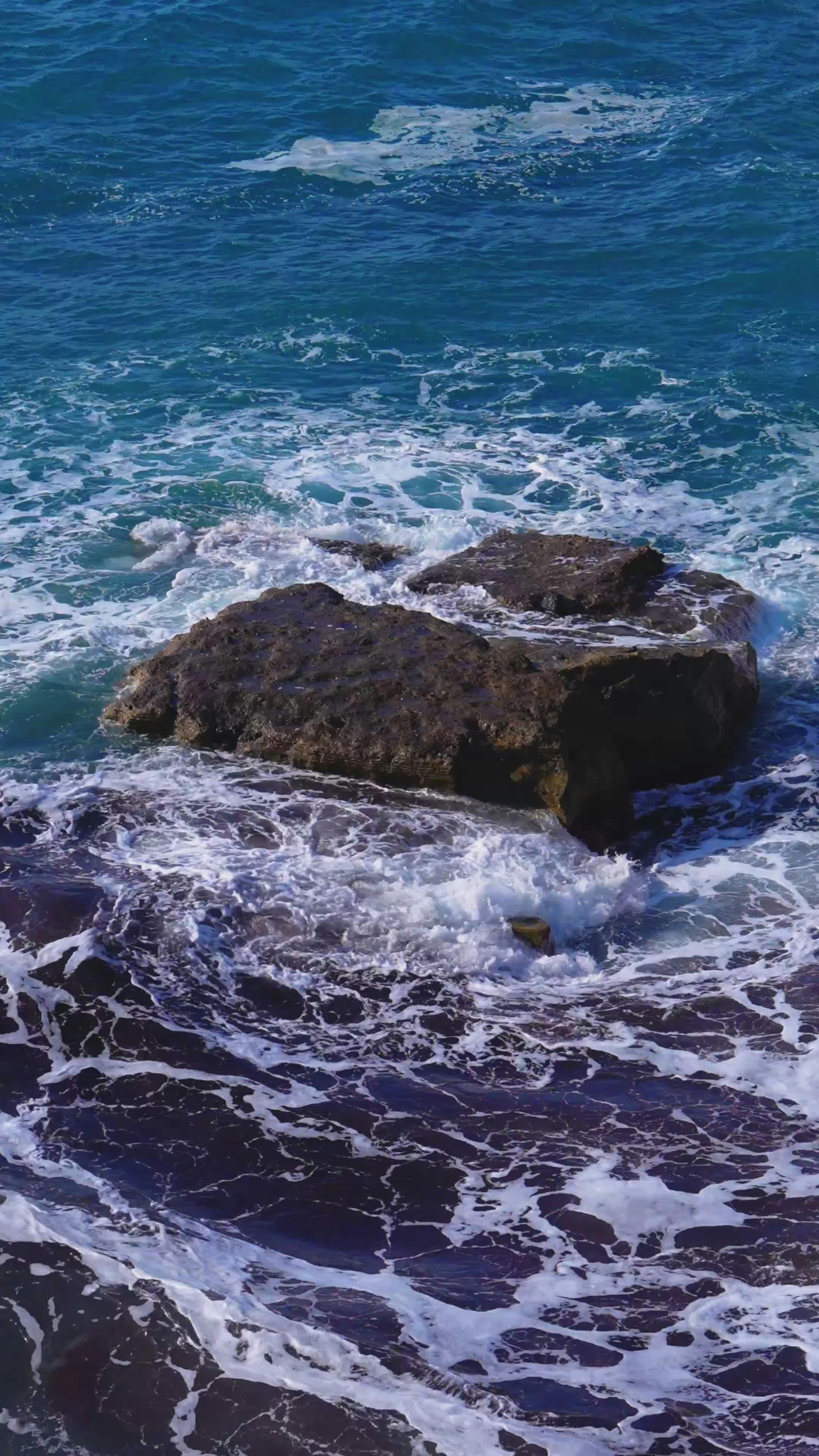 Video by Alberto Escalona