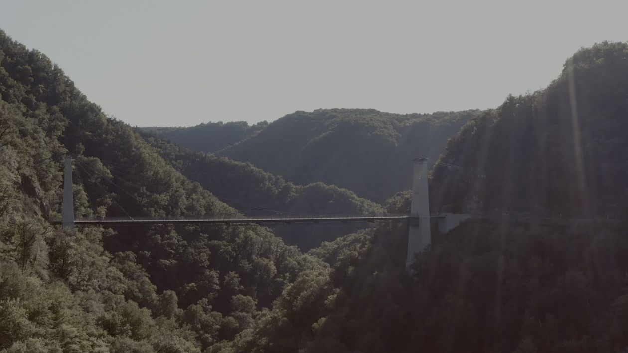 Stunning Aerial View of Forest Viaduct Free Stock Video Footage ...