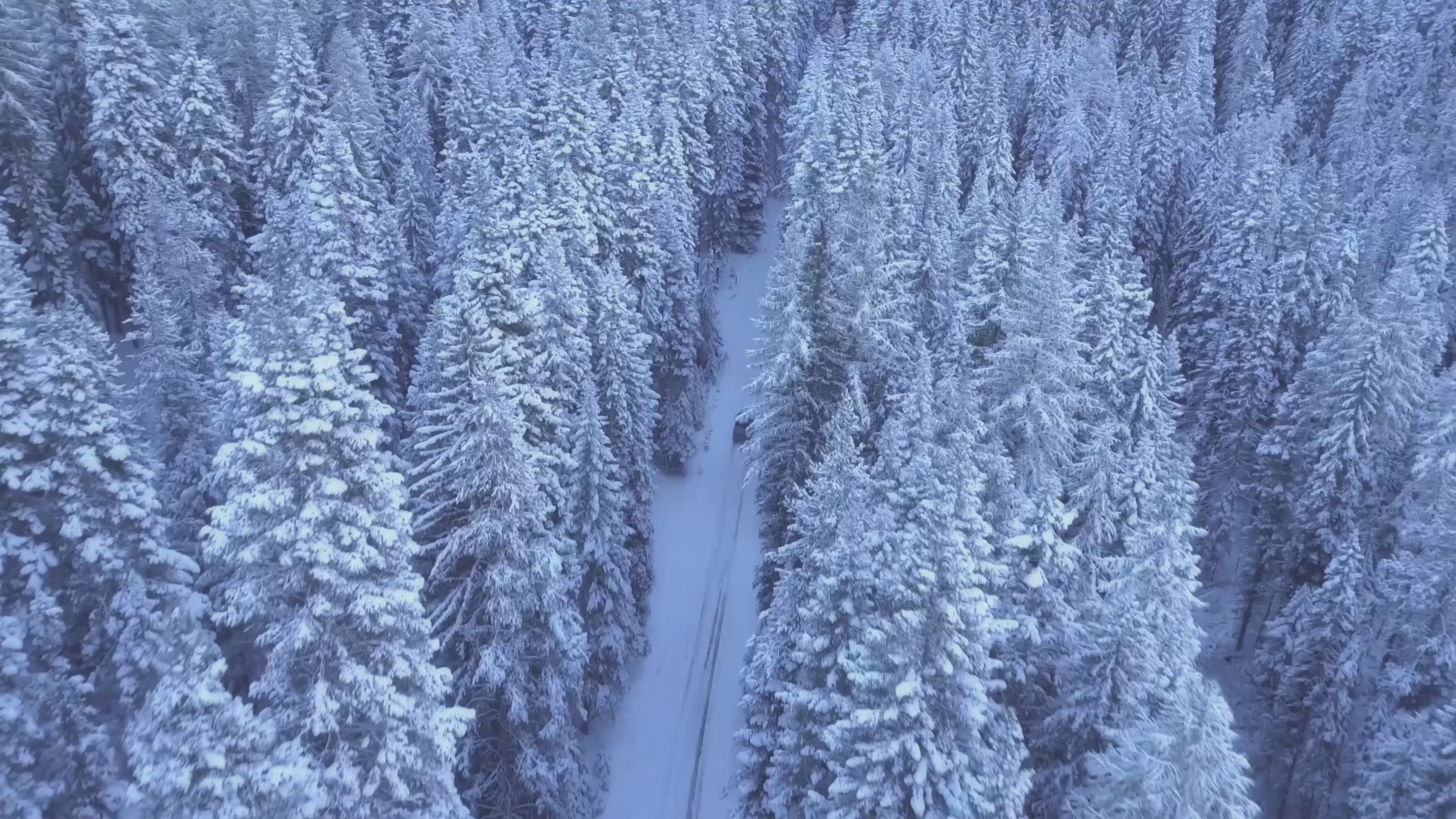 Aerial View of Snowy Winter Forest Road Free Stock Video Footage ...