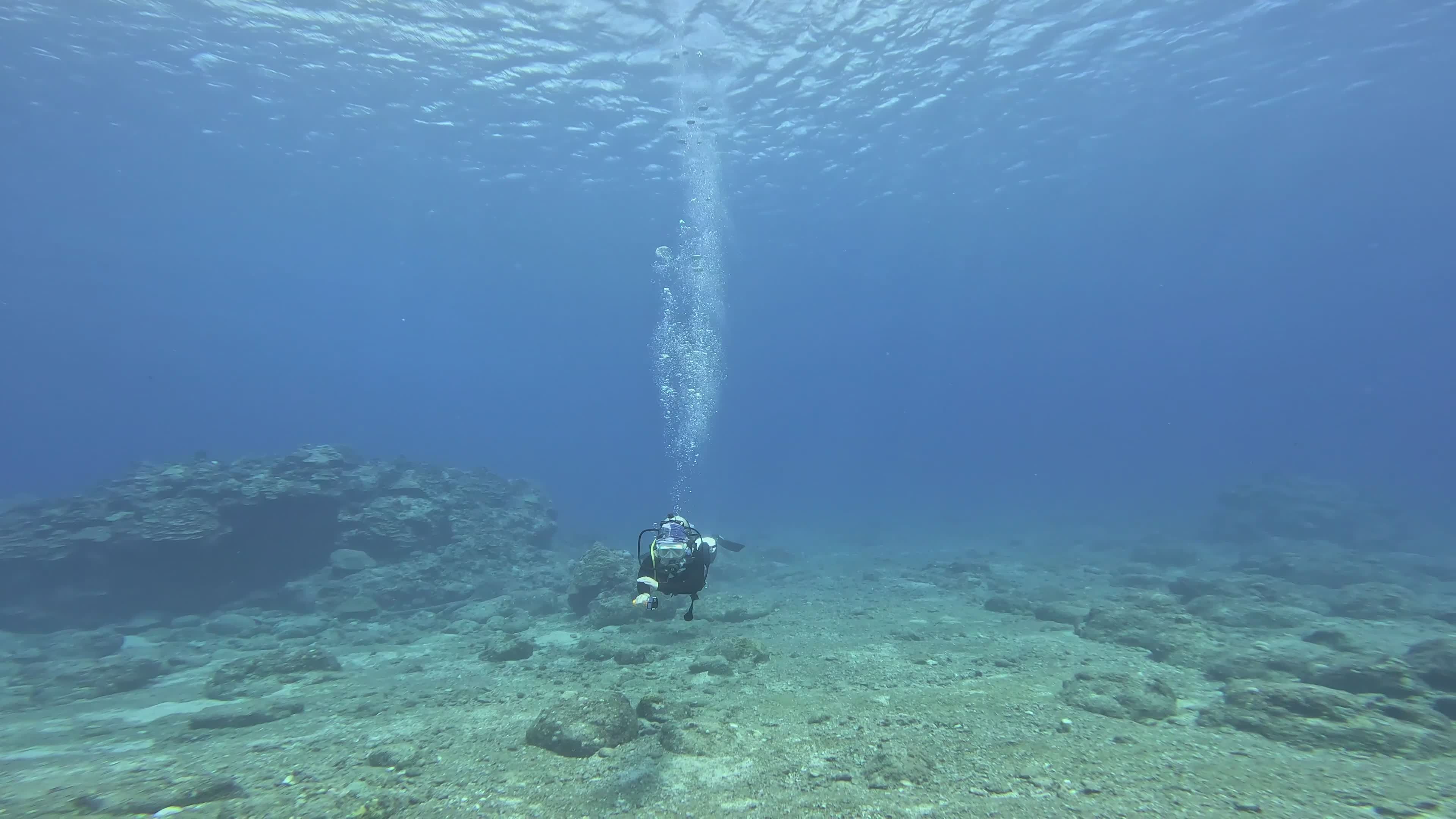 Scuba Diver Exploring Underwater World Free Stock Video Footage ...
