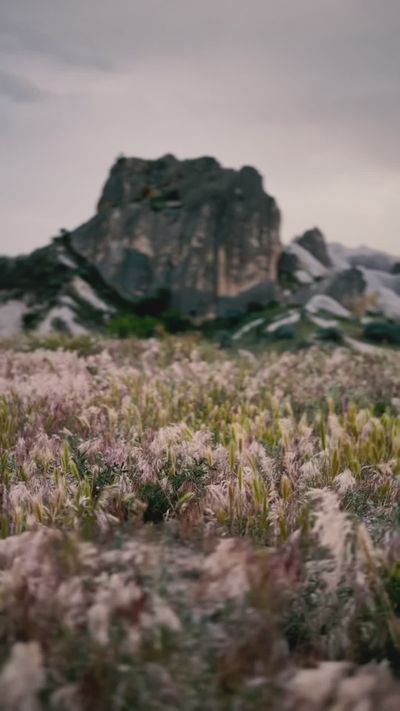 mohcen cherifi's fantasy landscape cinematic video