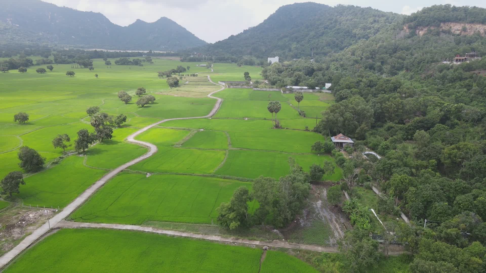 Aerial View of Lush Green Fields in Scenic Valley Free Stock Video ...
