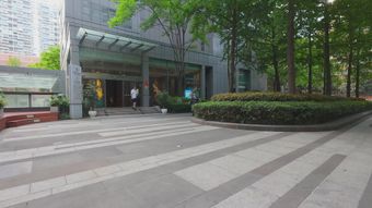 浦东中建广场视频素材