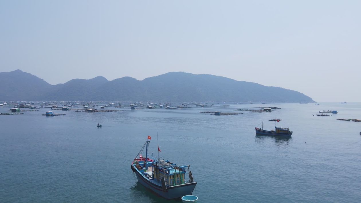 Scenic Aerial View of Boats on Calm Sea Free Stock Video Footage ...