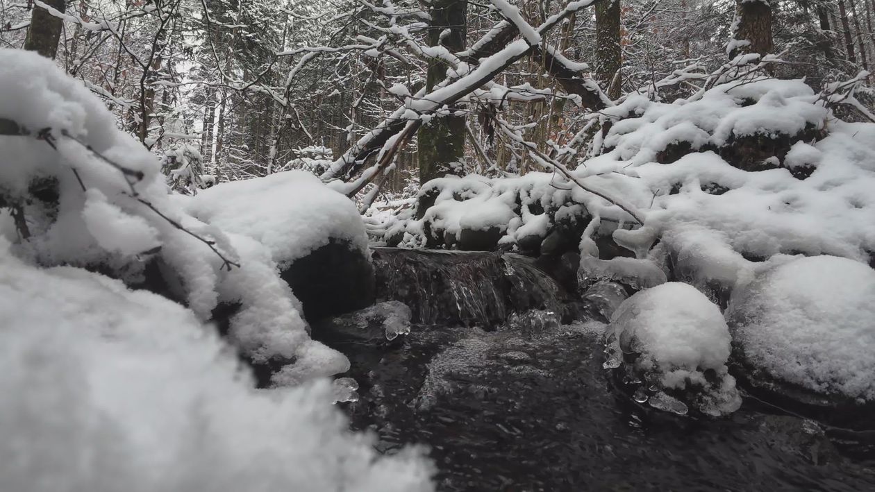 Serene Snowy Forest Stream in Winter Free Stock Video Footage, Royalty ...