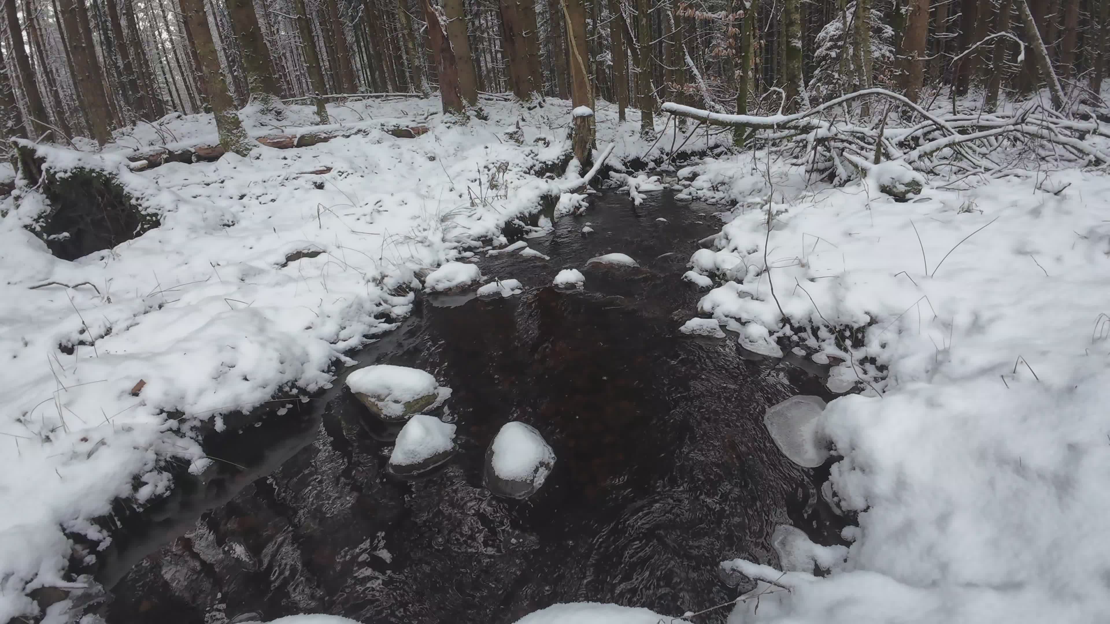 Peaceful Snowy Forest Stream in Winter Free Stock Video Footage ...