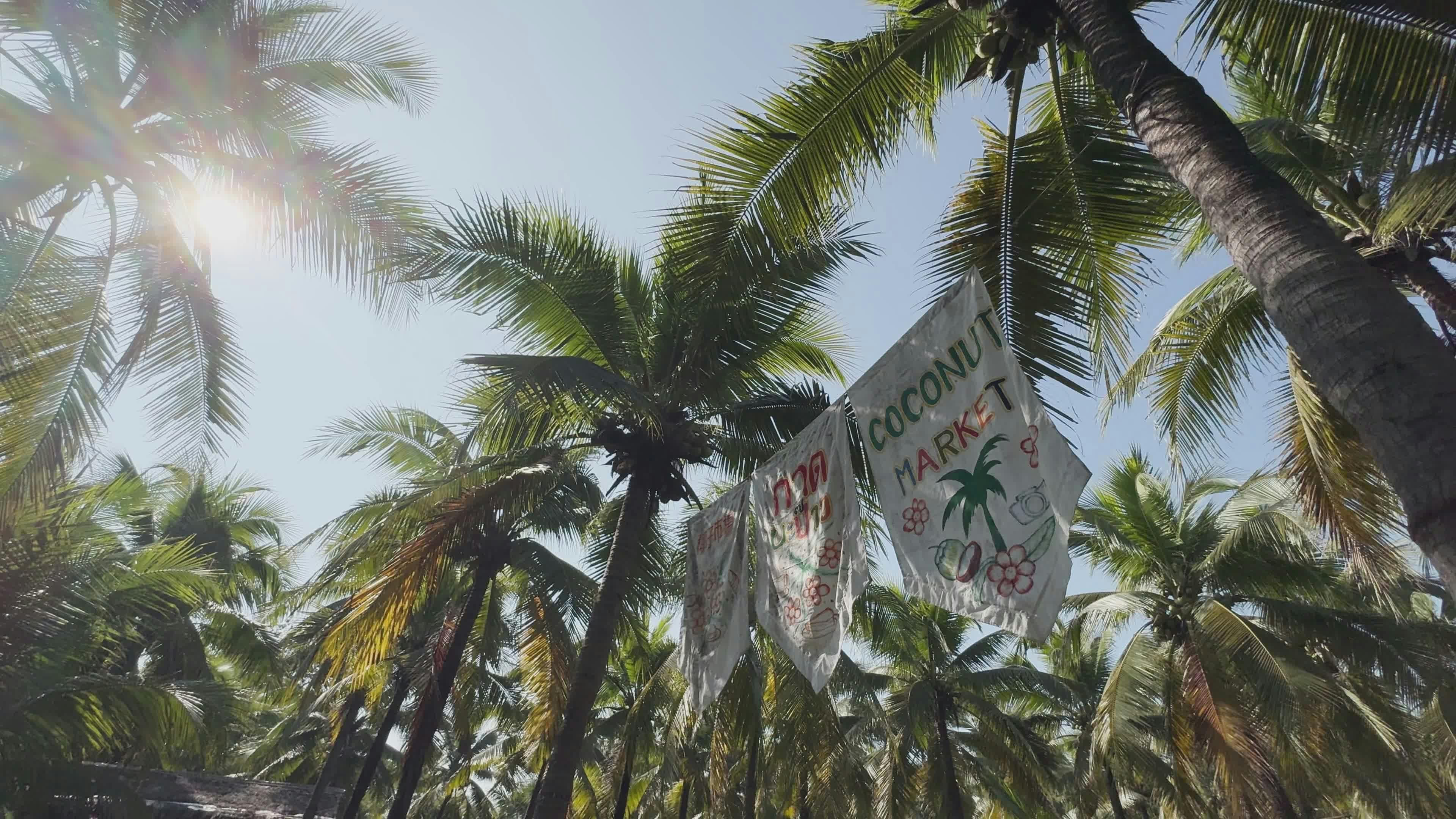 Video by Astrella Visuals