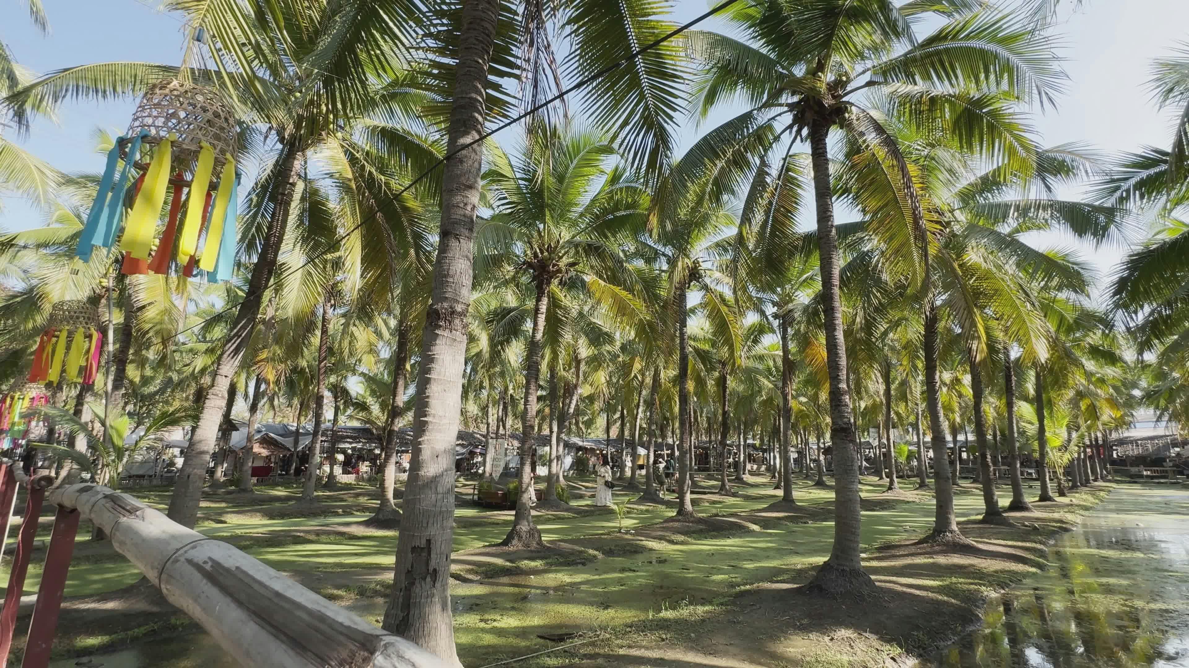 Video by Astrella Visuals