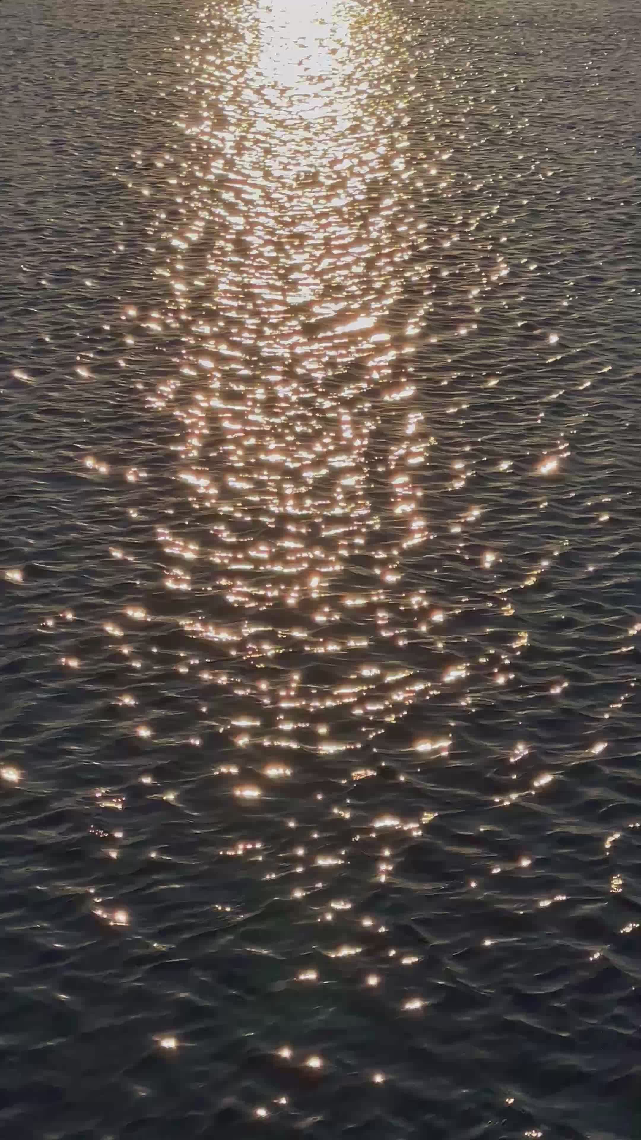 Golden Sunset Reflecting on Rippling Water Free Stock Video Footage ...