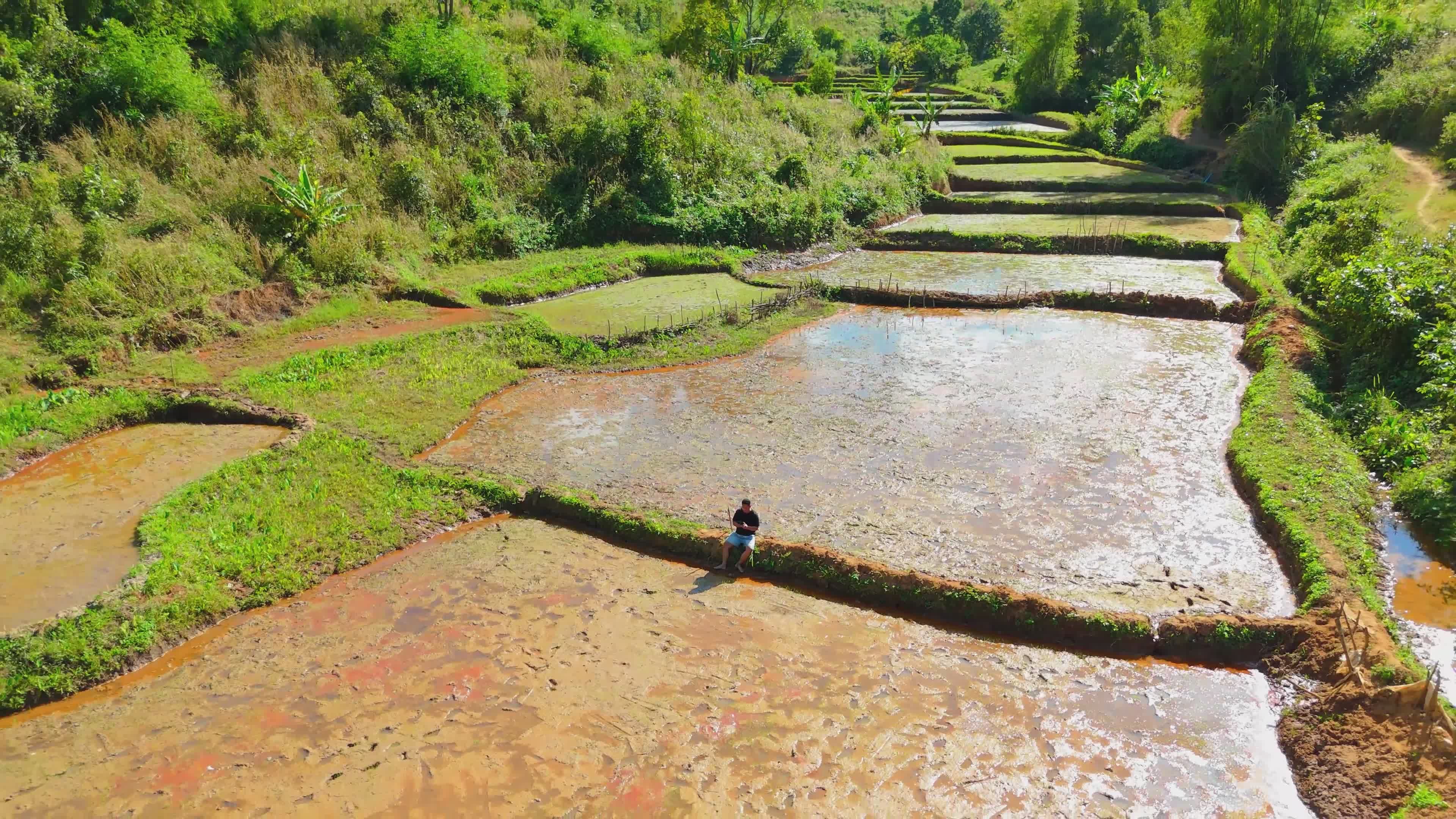 Aerial View of Terraced Rice Fields in Vietnam Free Stock Video Footage ...