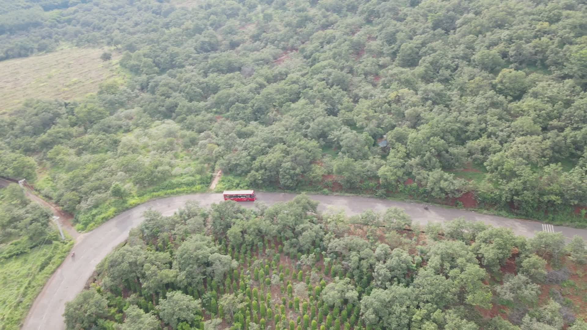 aerial view of red bus in lush greenery 35529248 — free pexels stock footage