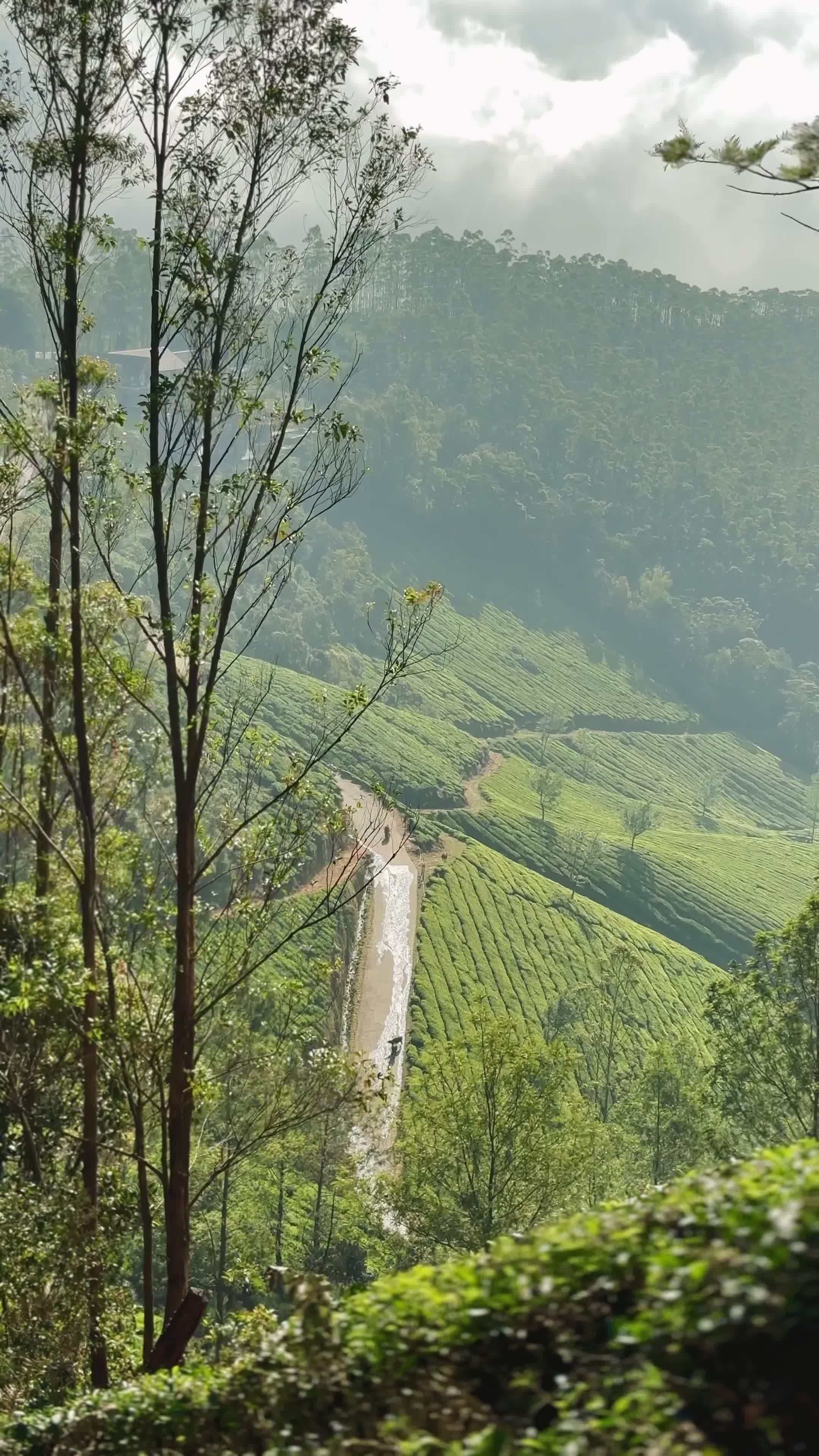 Serene Aerial View of Kerala's Green Hills Free Stock Video Footage ...