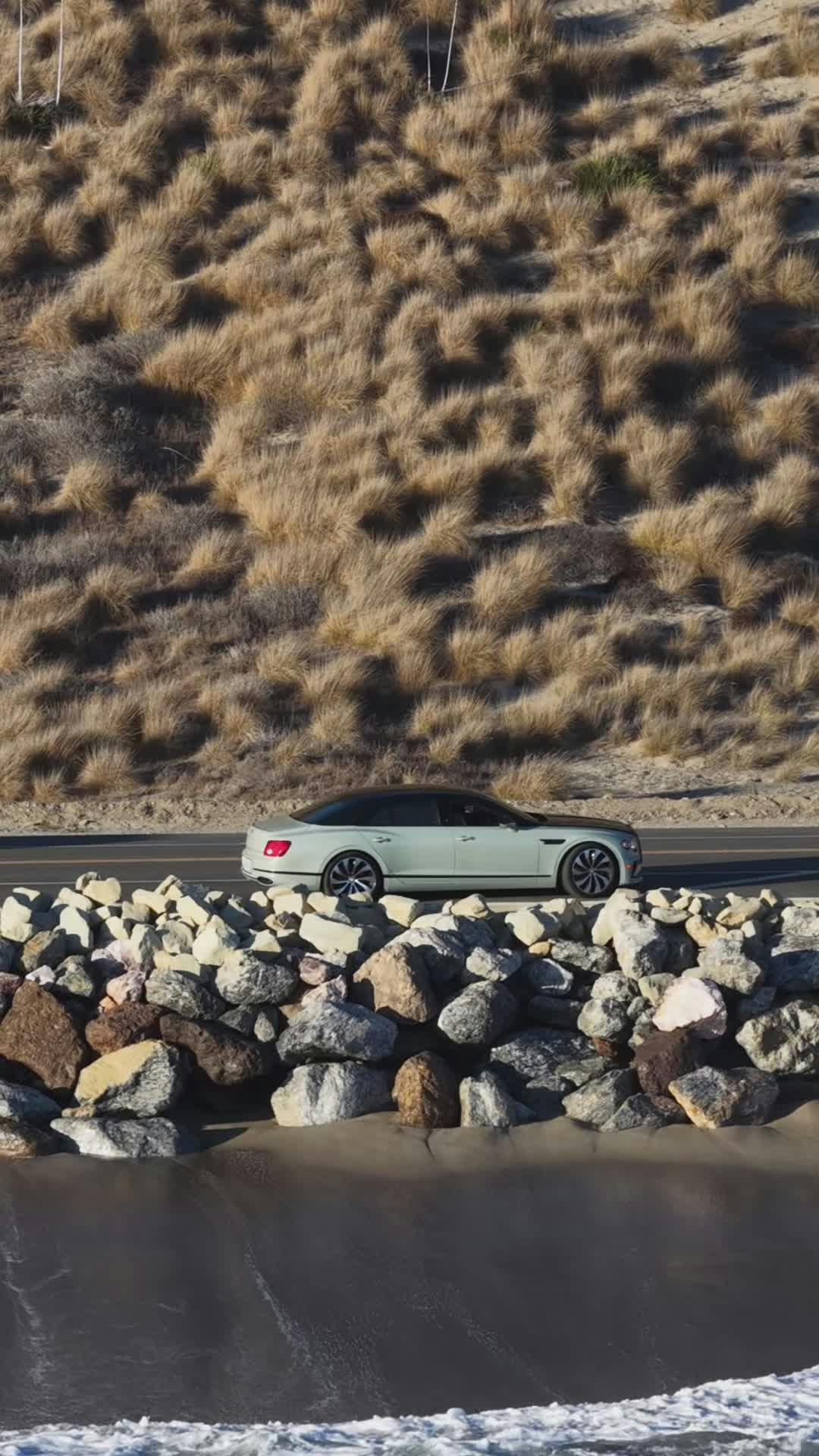 Video by Max Zaharenkov