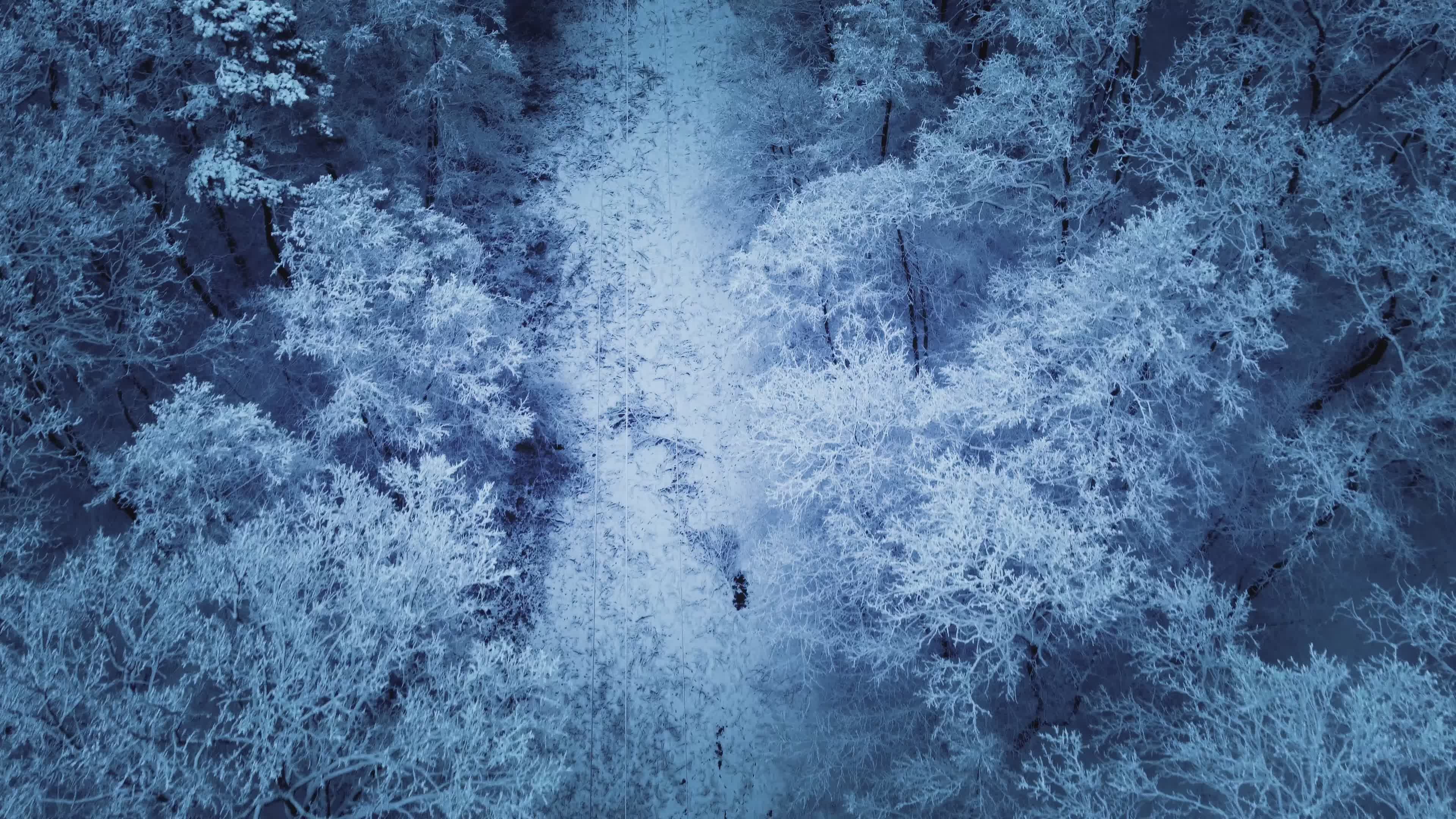 Aerial View of Snowy Winter Forest Path Free Stock Video Footage ...