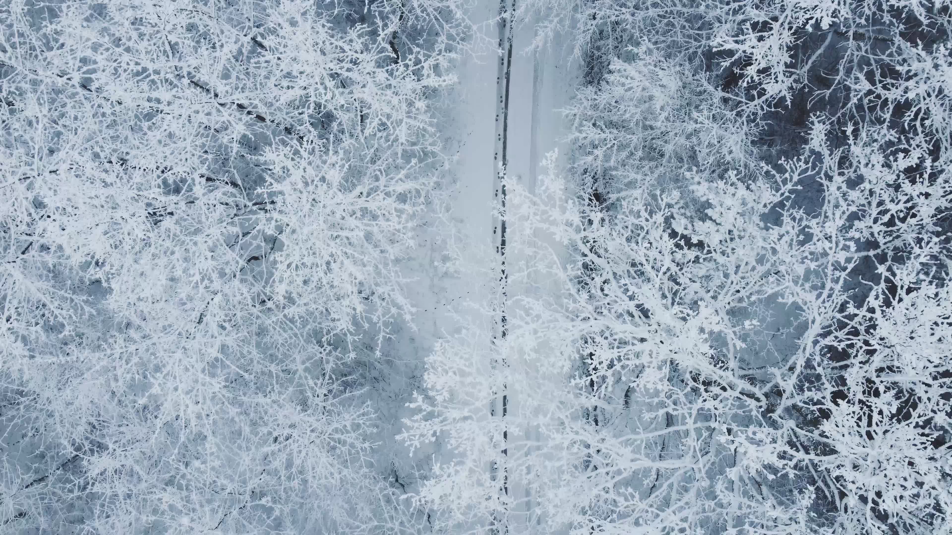 Aerial View of Snowy Road Through Forest Free Stock Video Footage ...