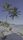 tropical beach