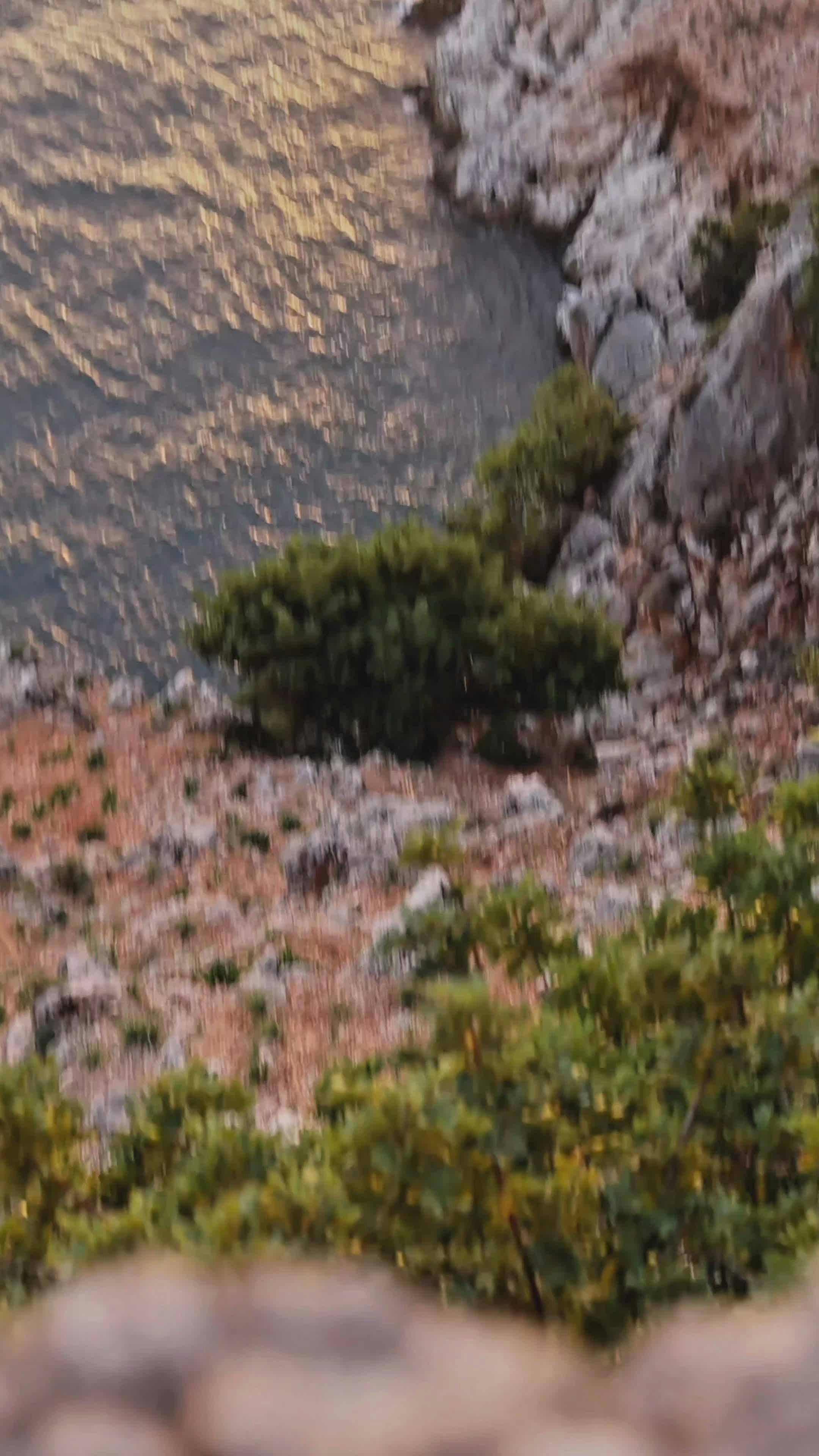 Video by Ahmet