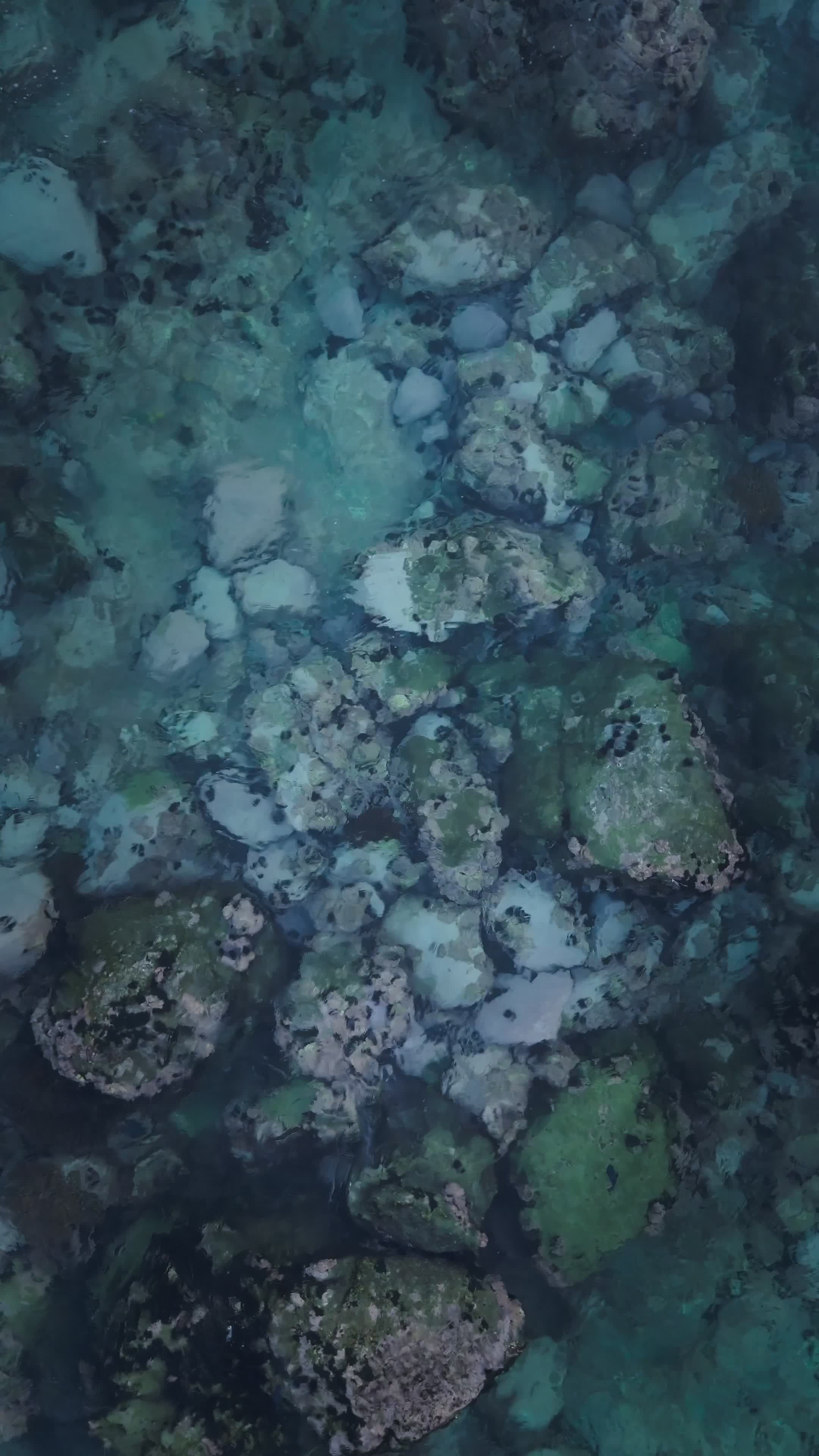 Aerial View of Ocean Waves and Rocks Free Stock Video Footage, Royalty ...