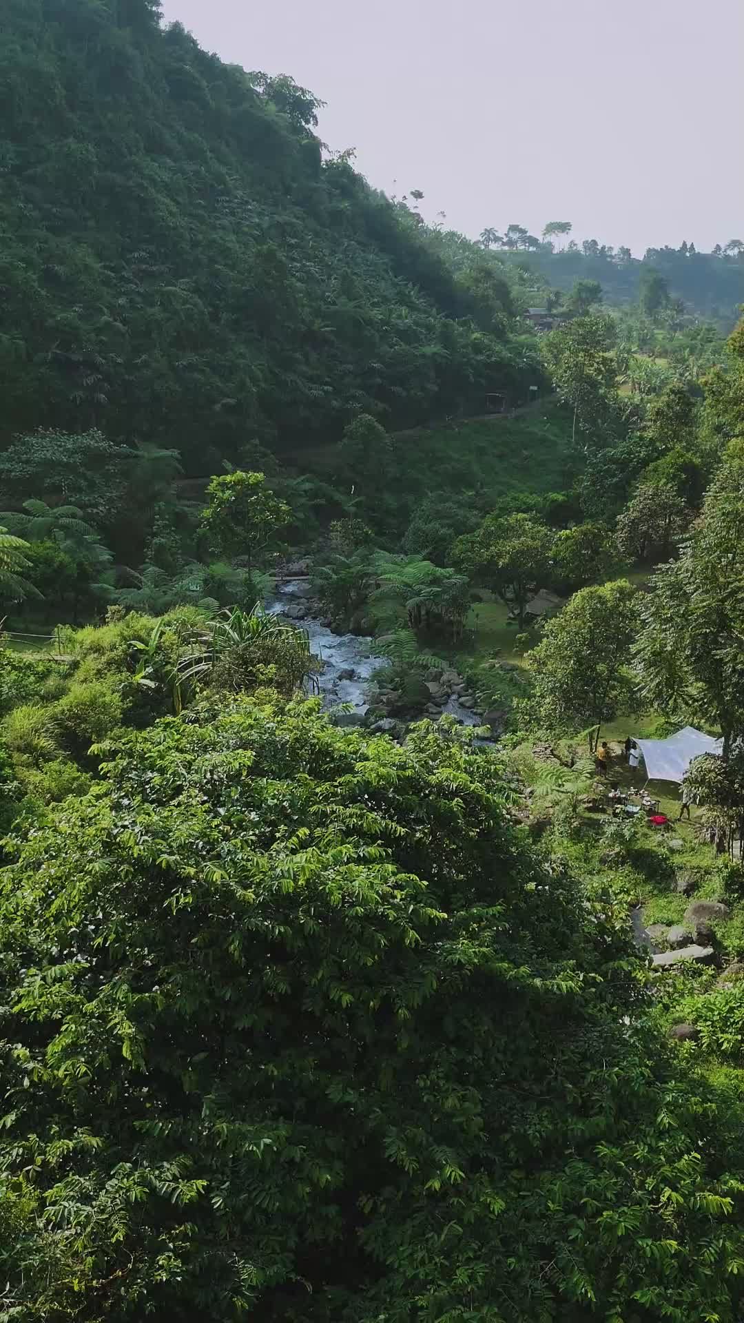 Video stok gratis tentang aktivitas di luar ruangan, alam, alam liar ...