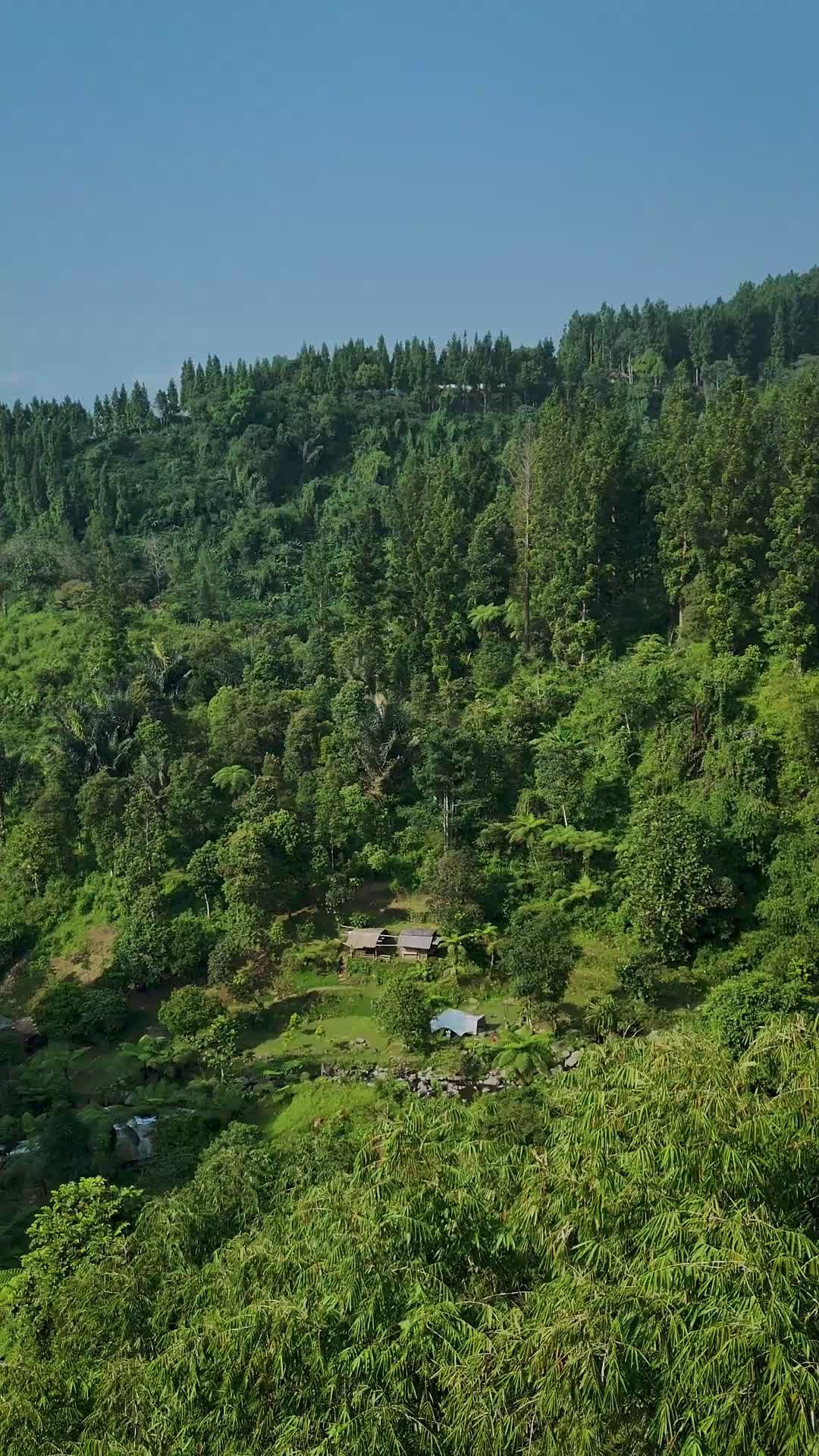 Aerial View of Lush Green Forest Landscape Free Stock Video Footage ...