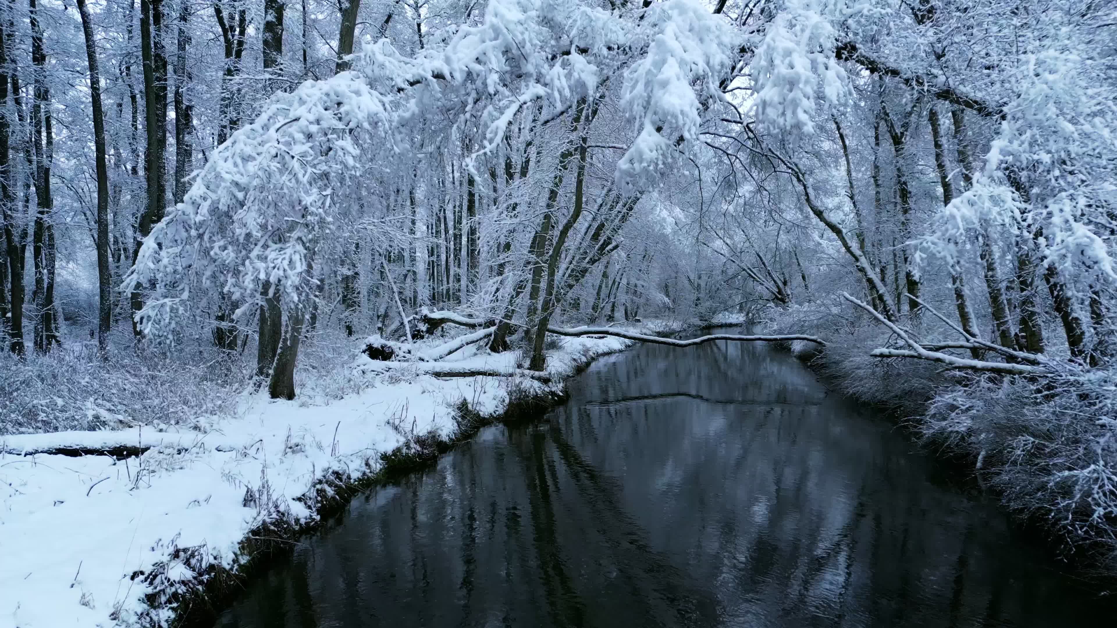 Serene Snowy Forest with Icy River Free Stock Video Footage, Royalty ...
