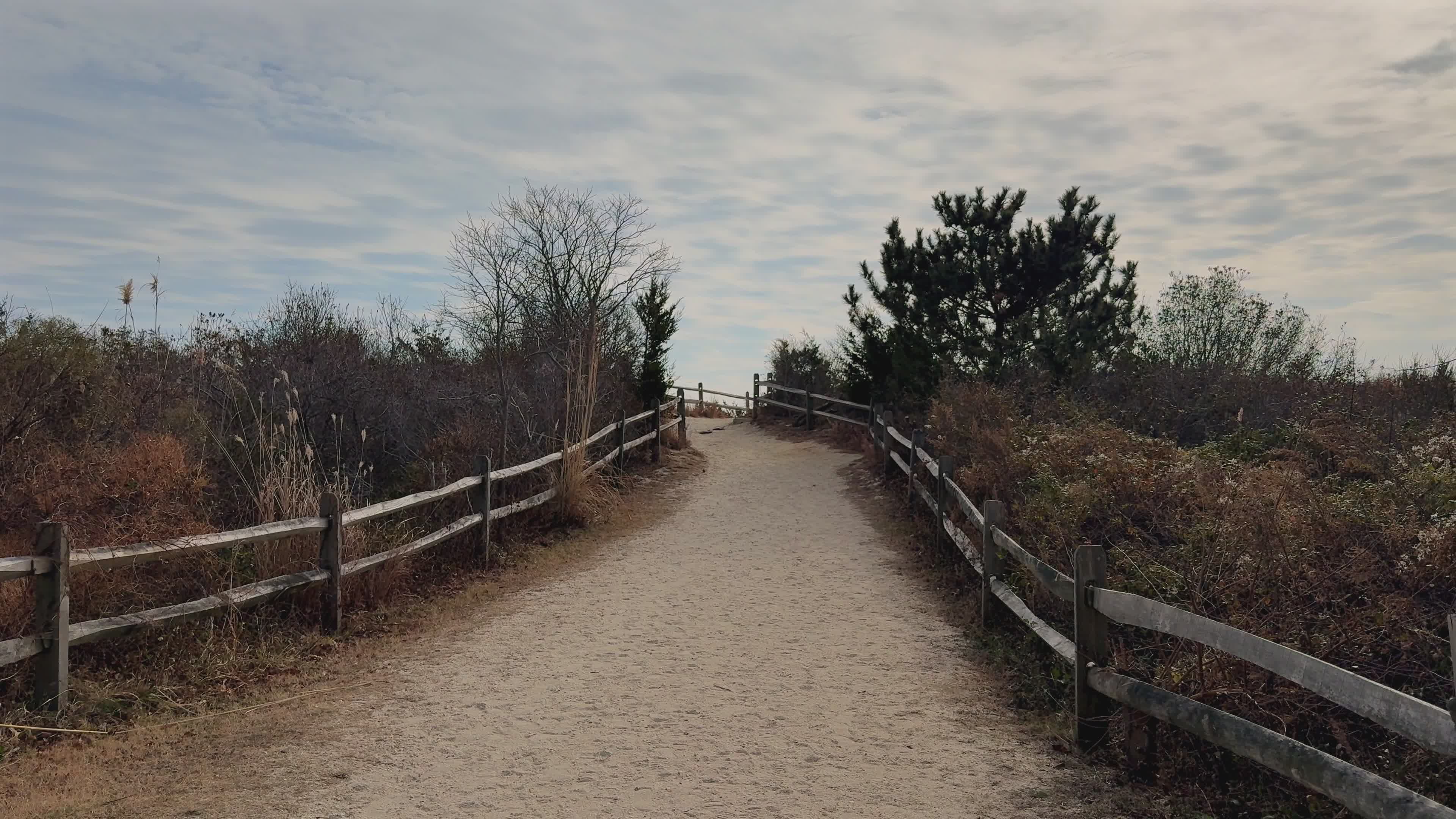 Sandy Pathway Through Coastal Dunes Free Stock Video Footage, Royalty ...