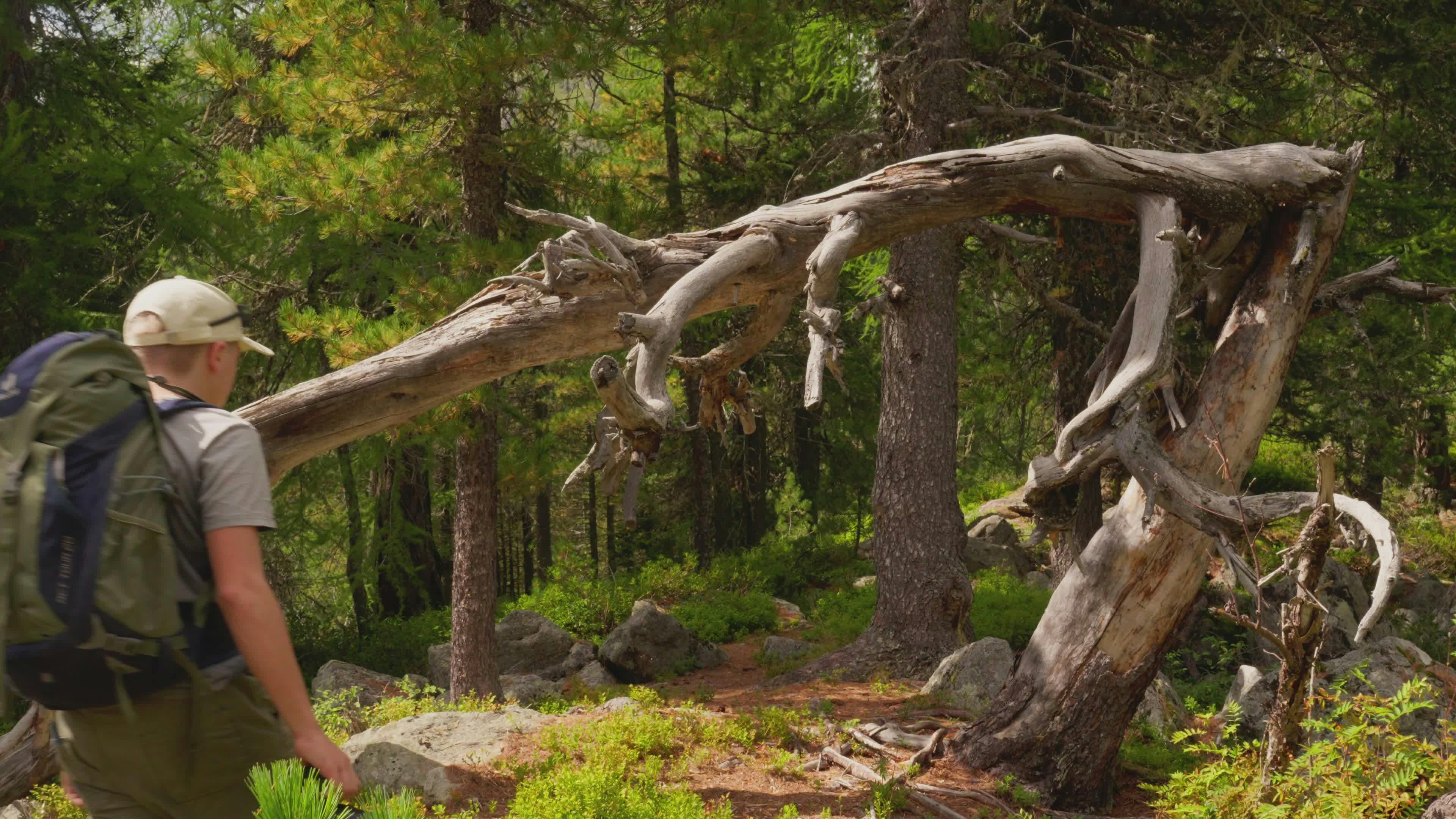 Video by Oskar Gross