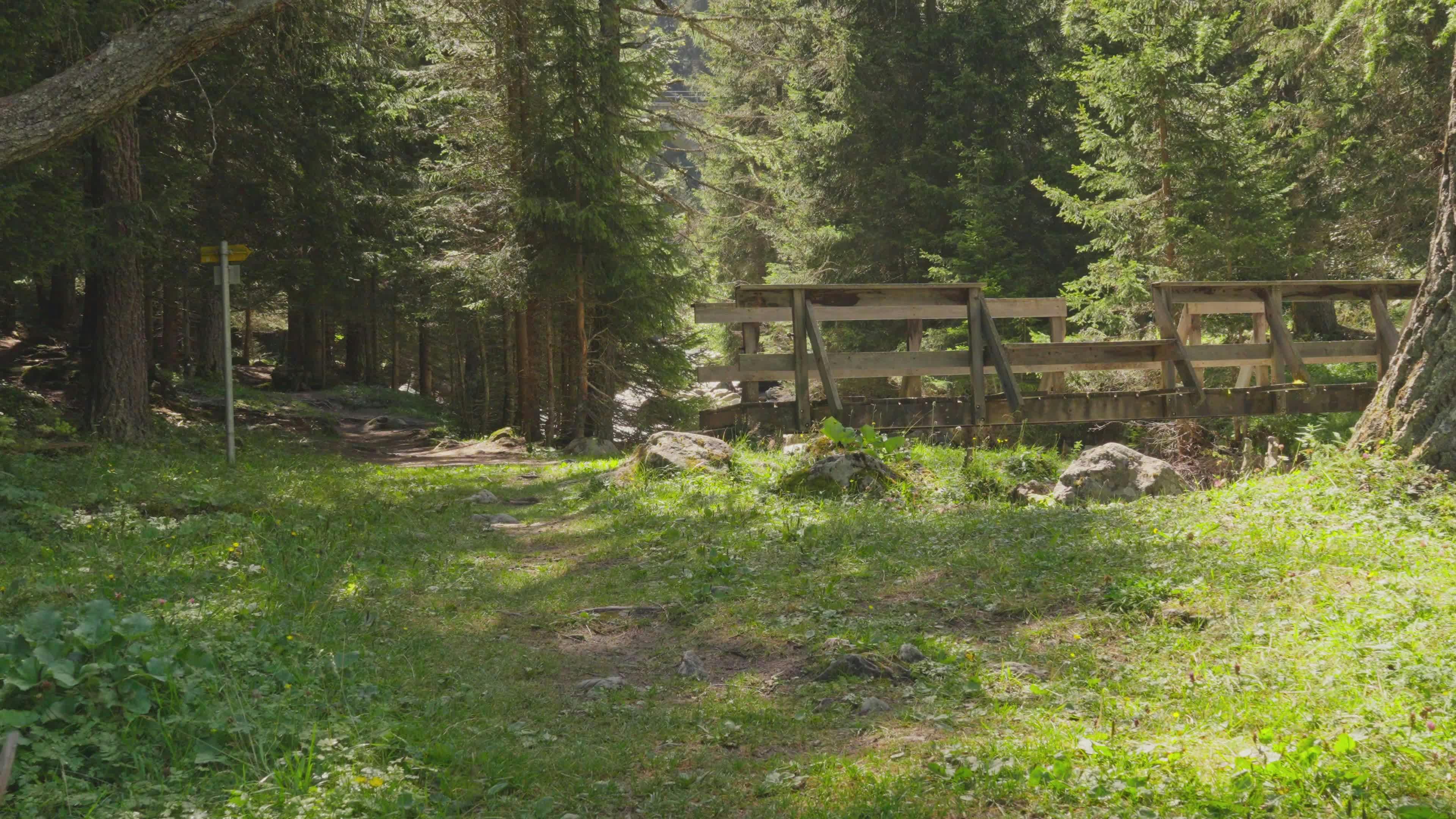 Video by Oskar Gross