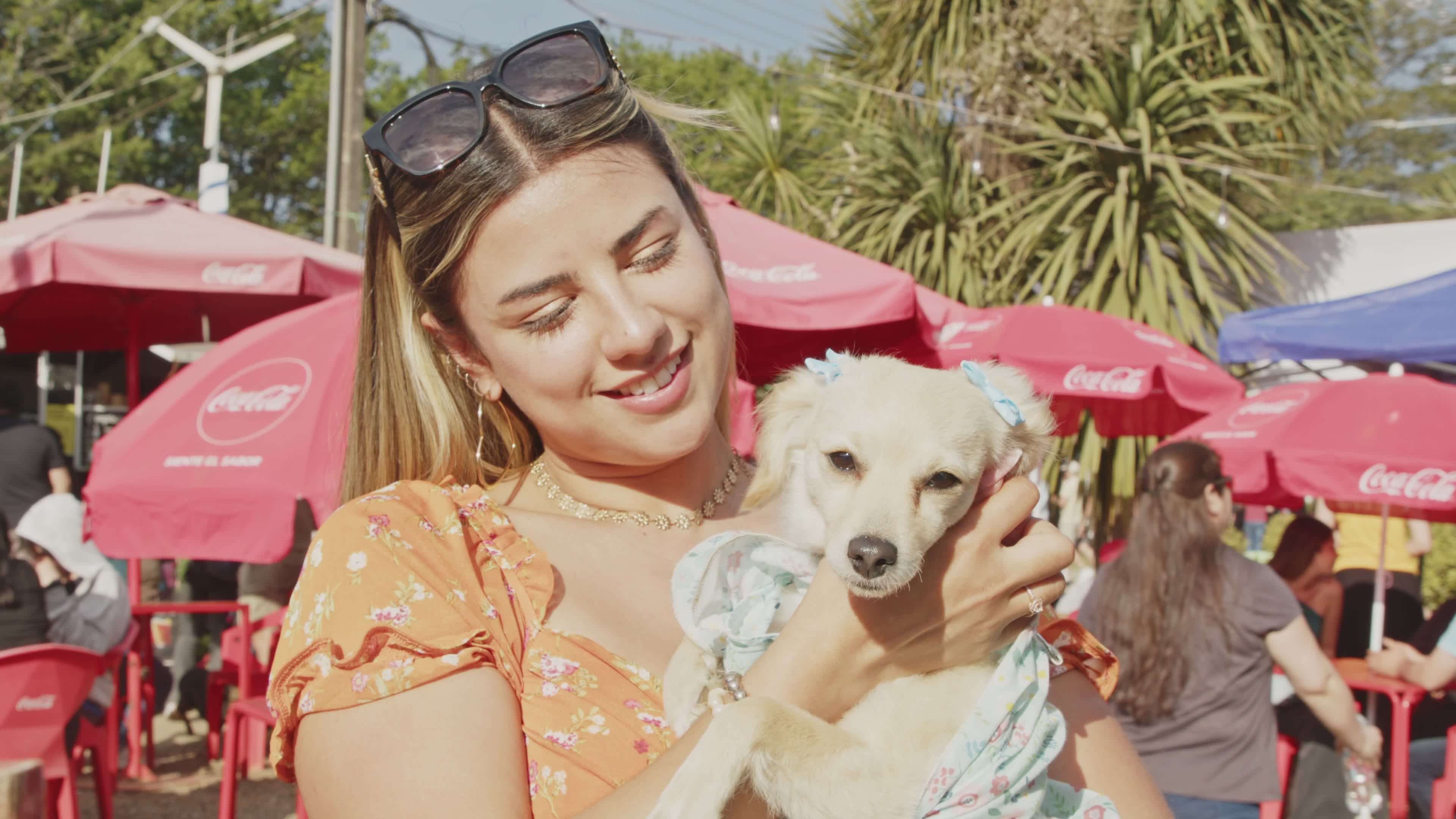 Mujer Joven Sosteniendo Un Adorable Perro Pequeño Al Aire Libre · Vídeo ...