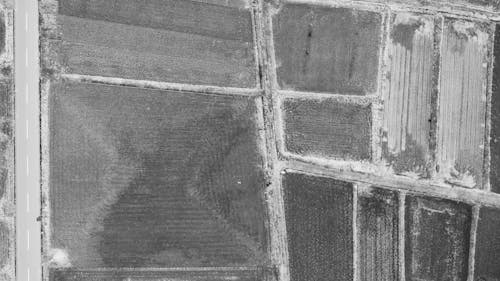 Drone View Of A Farmland In Grayscale