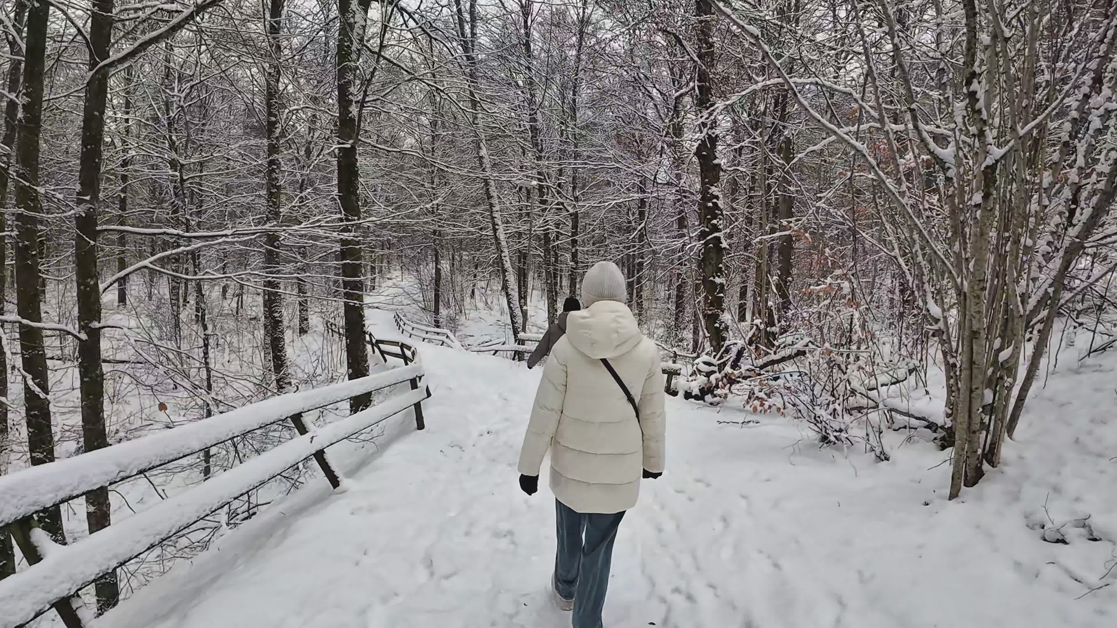 Winter Walk in Snowy Forest Path Free Stock Video Footage, Royalty-Free ...