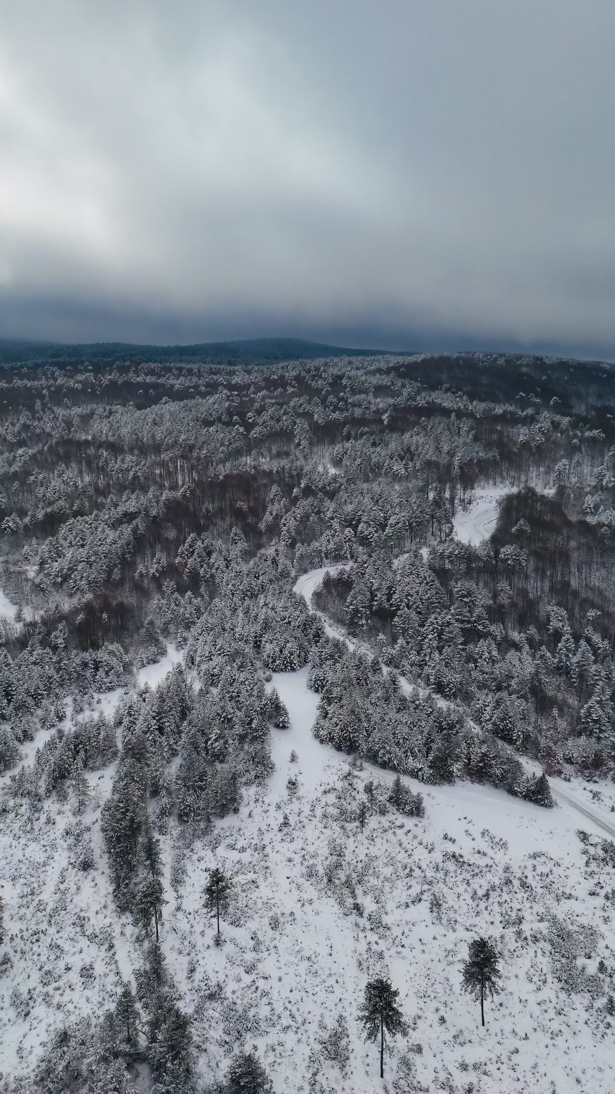 Aerial View of Snowy Winter Forest Landscape Free Stock Video Footage ...