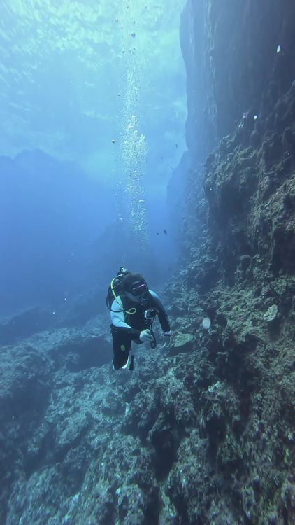 Scuba Diver Exploring Underwater Caves Free Stock Video Footage ...