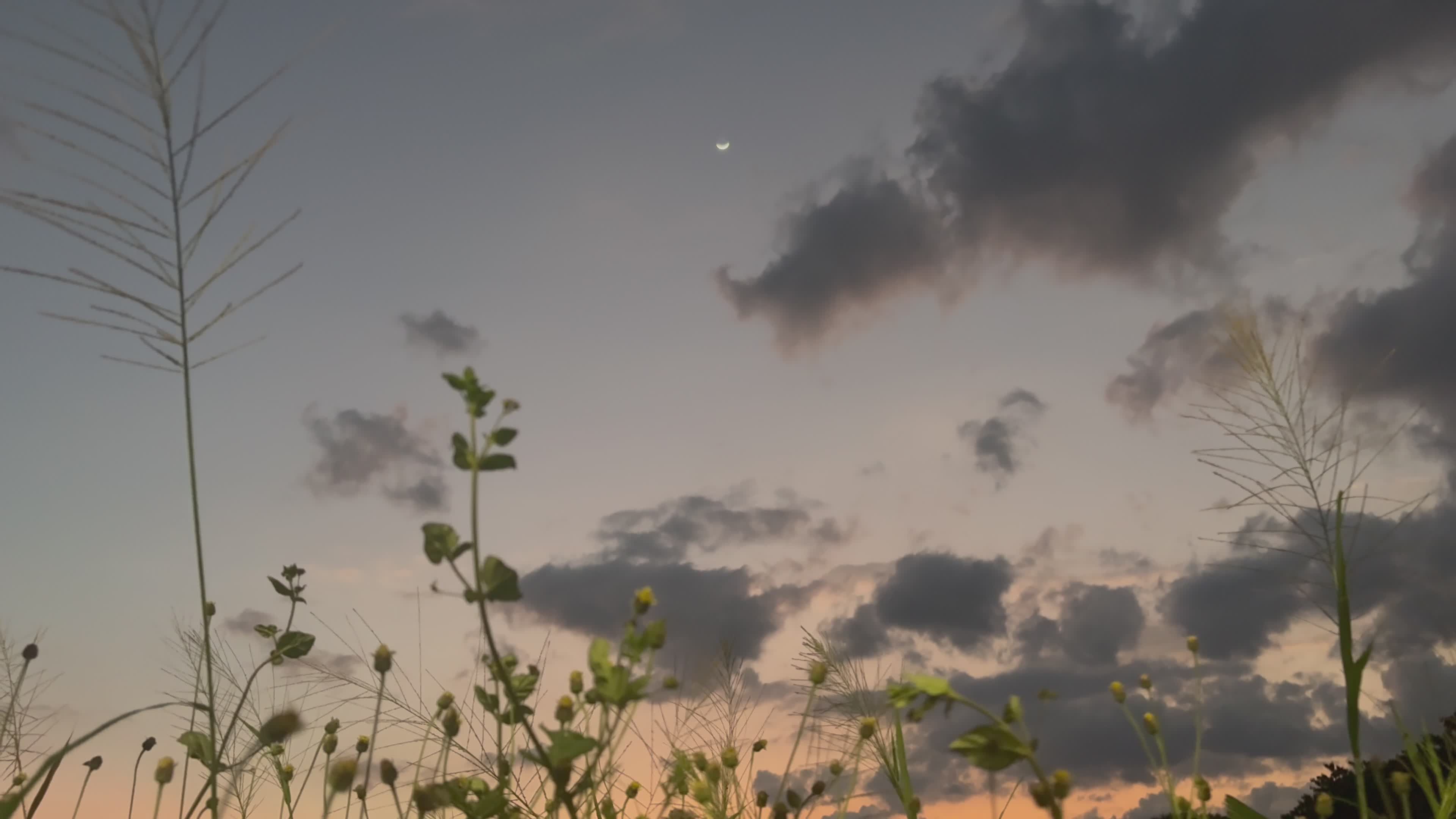 Video by Diego Dueñas