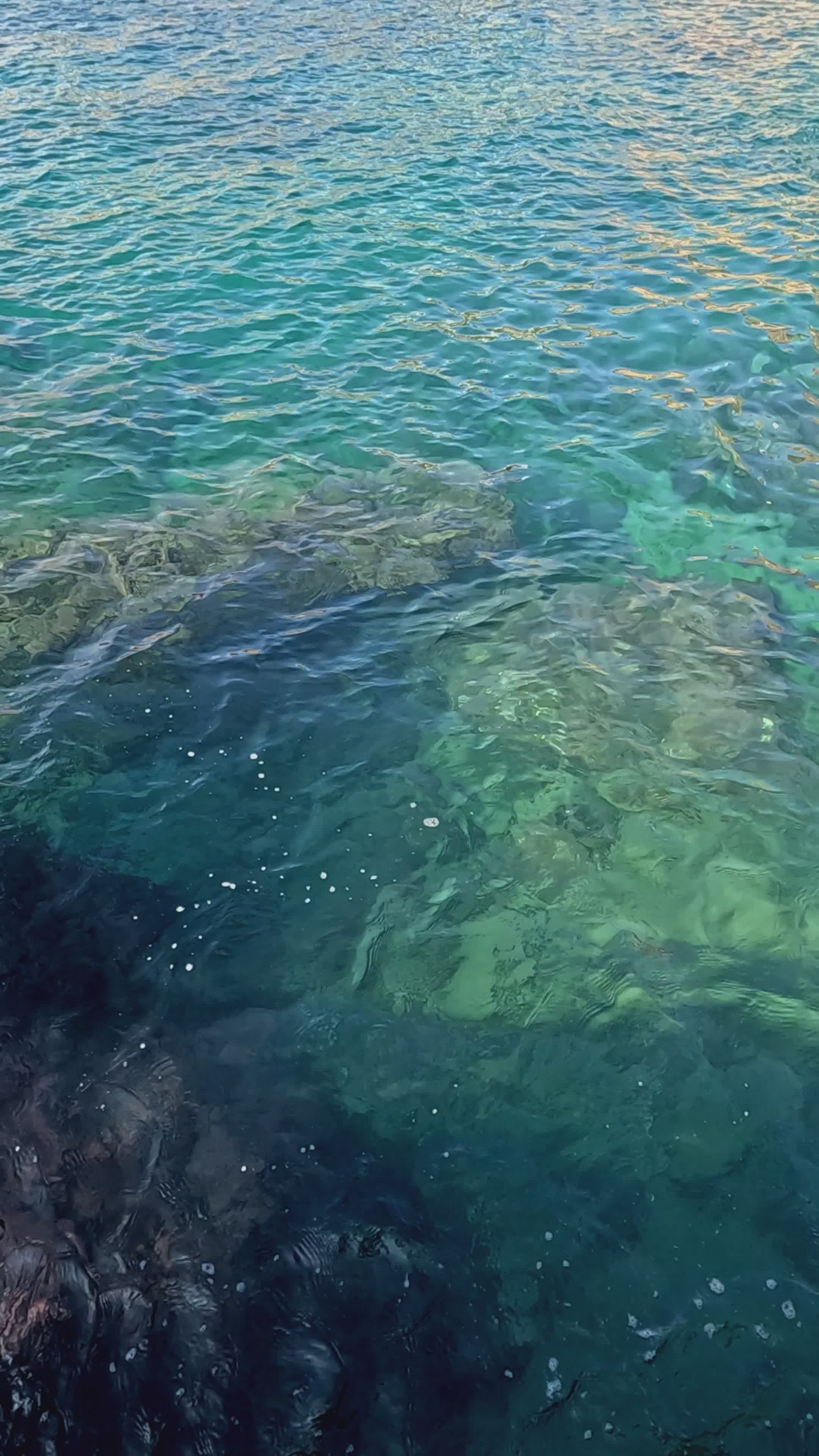 Video by Engin Akyurt