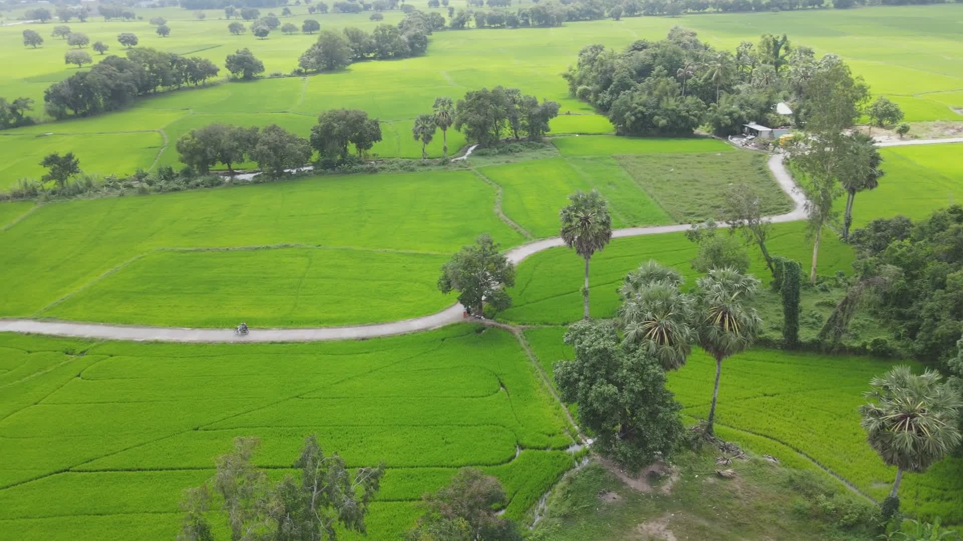 Lush Green Aerial View of a Scenic Farmland Free Stock Video Footage ...
