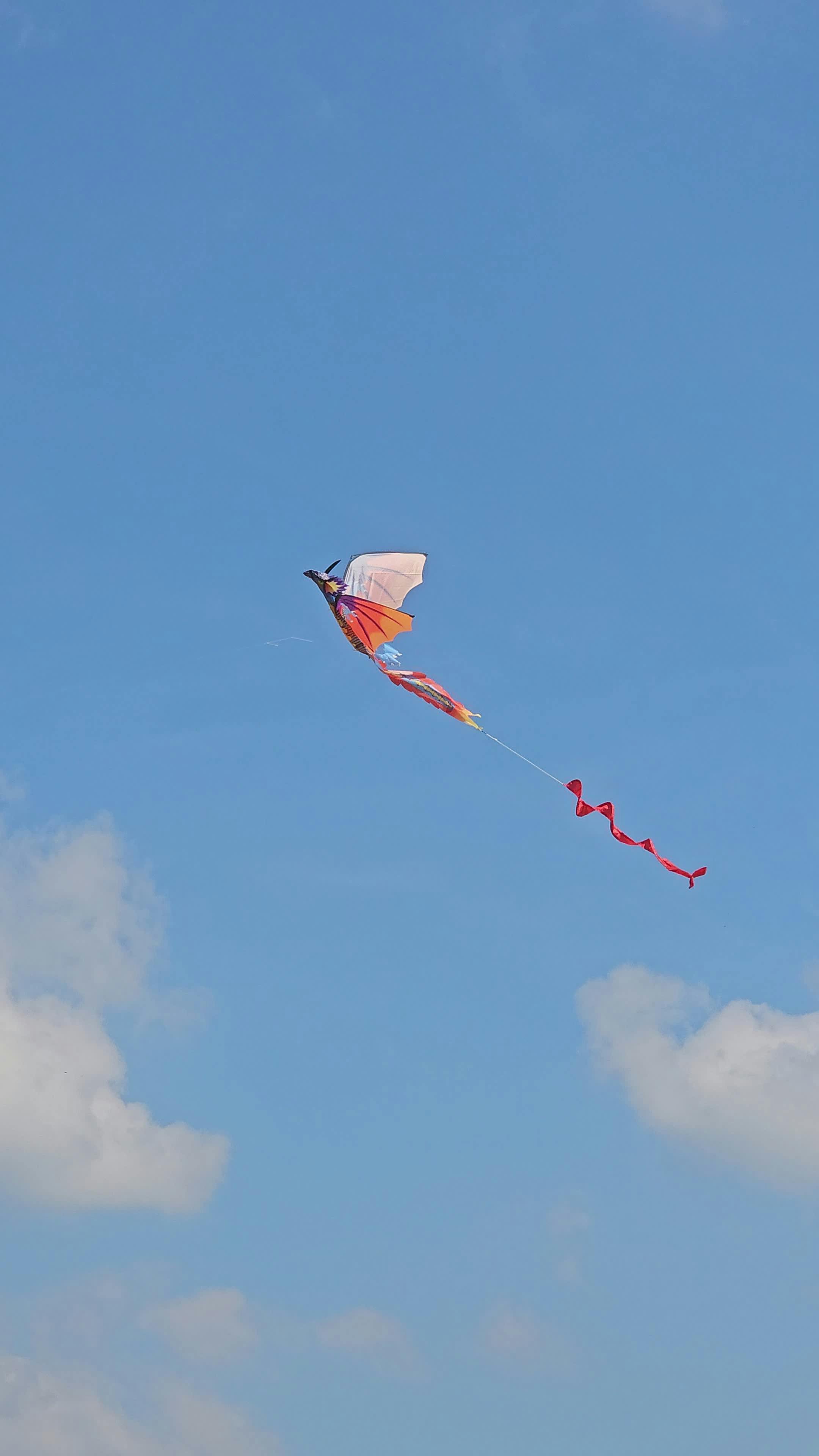 Video by Sapol Churanon