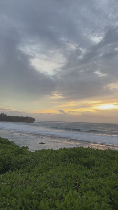 Women Manifest Success's ocean waves sunset video