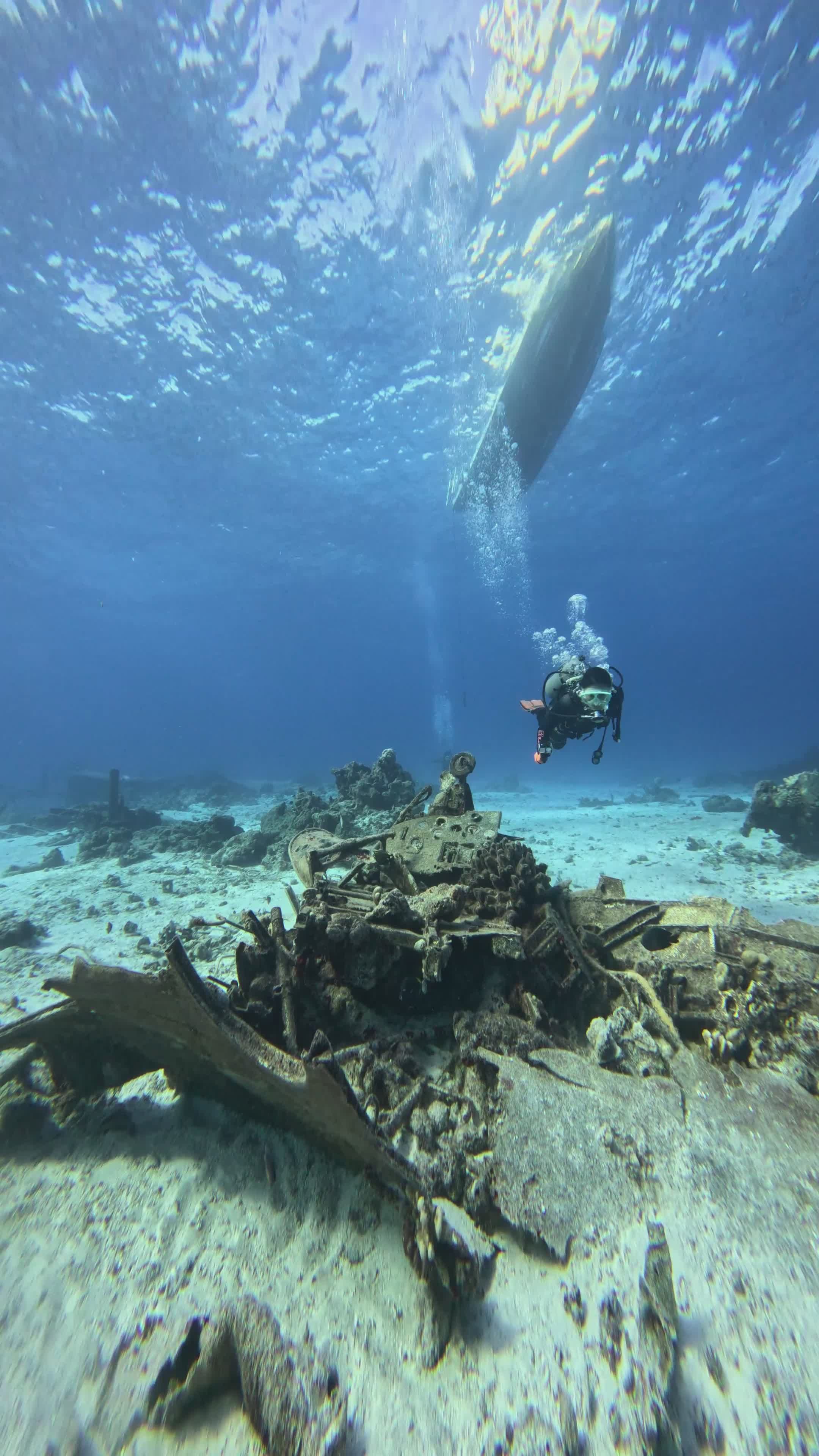 Diver Explores Vibrant Underwater World Free Stock Video Footage ...