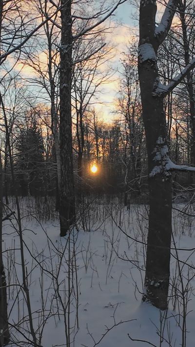 Aleksandr Jak's nature timelapse video