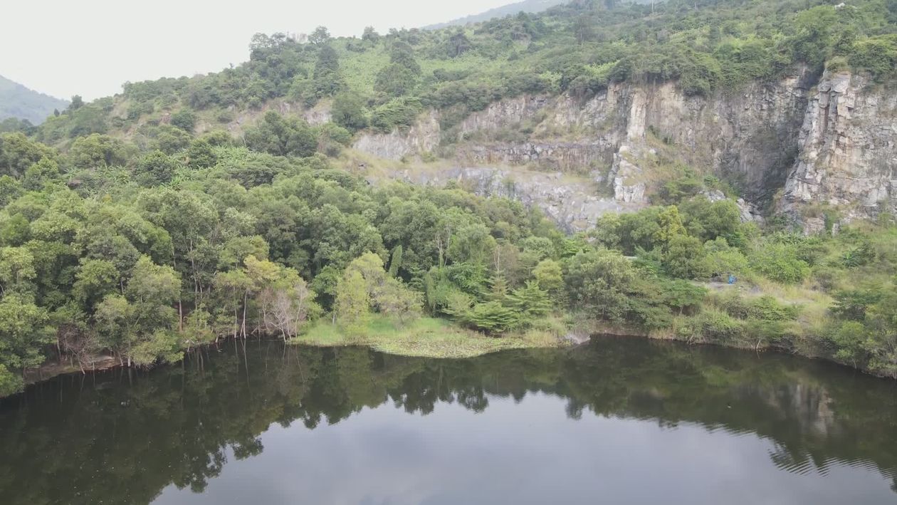 Aerial View of Serene Forest Lake Landscape Free Stock Video Footage ...