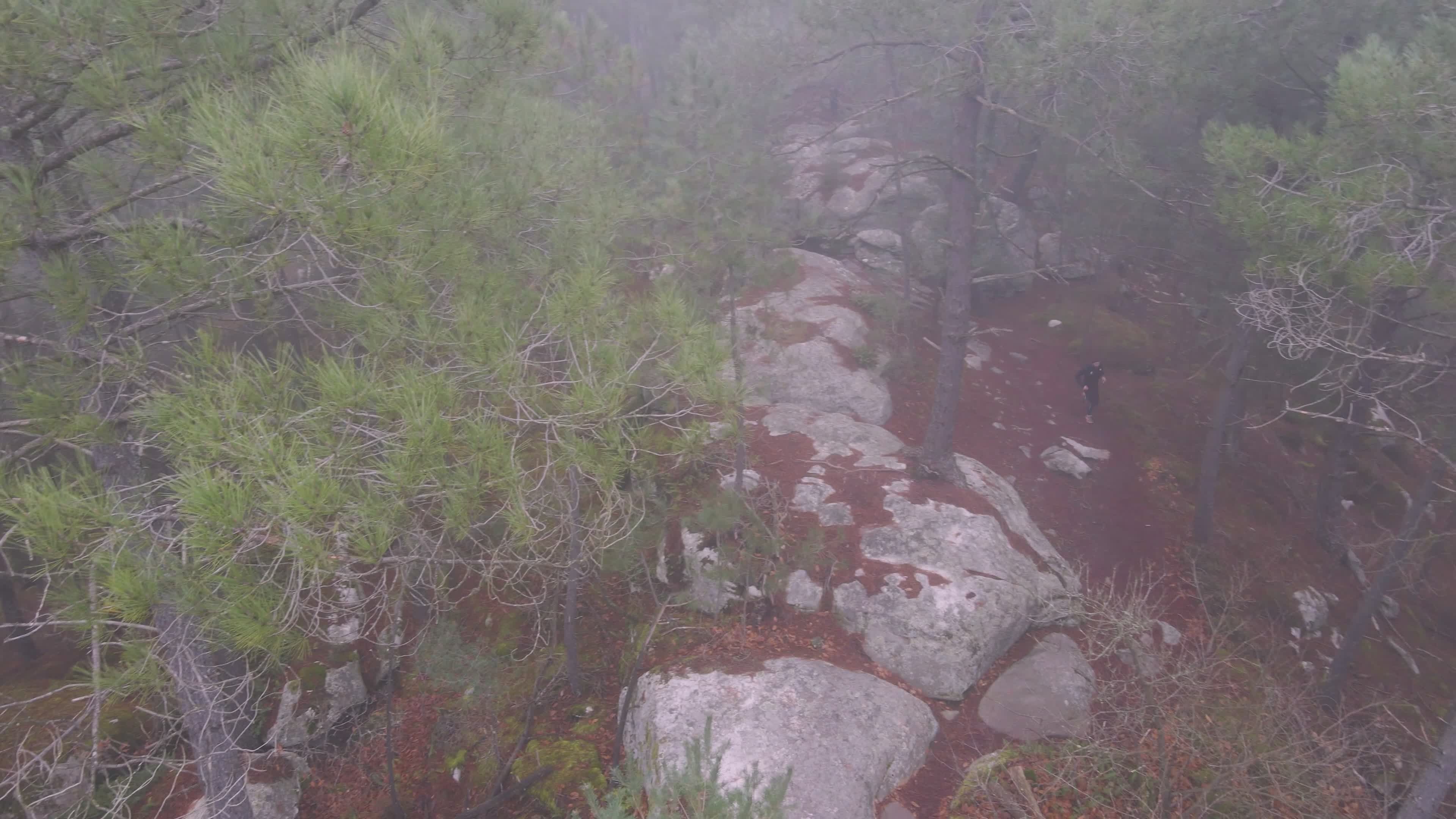 Drone Footage of Misty Forest Trail in France Free Stock Video Footage ...